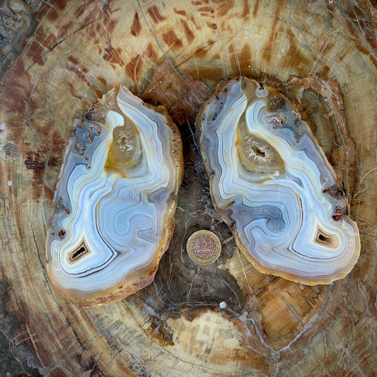 Agate Crystal Slice Set of 2 | Crystal Home Decor | 717g