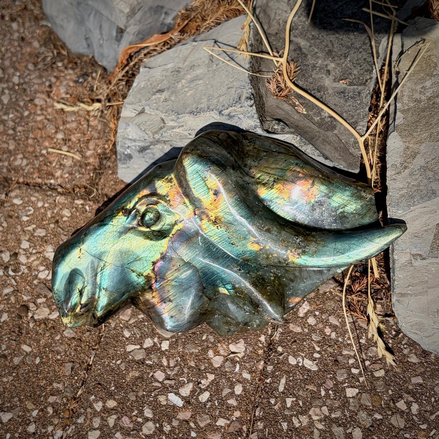 Labradorite Bull Crystal Carving | Hand Carved & Polished | Madagascan Labradorite Sculpture | 1.27kg