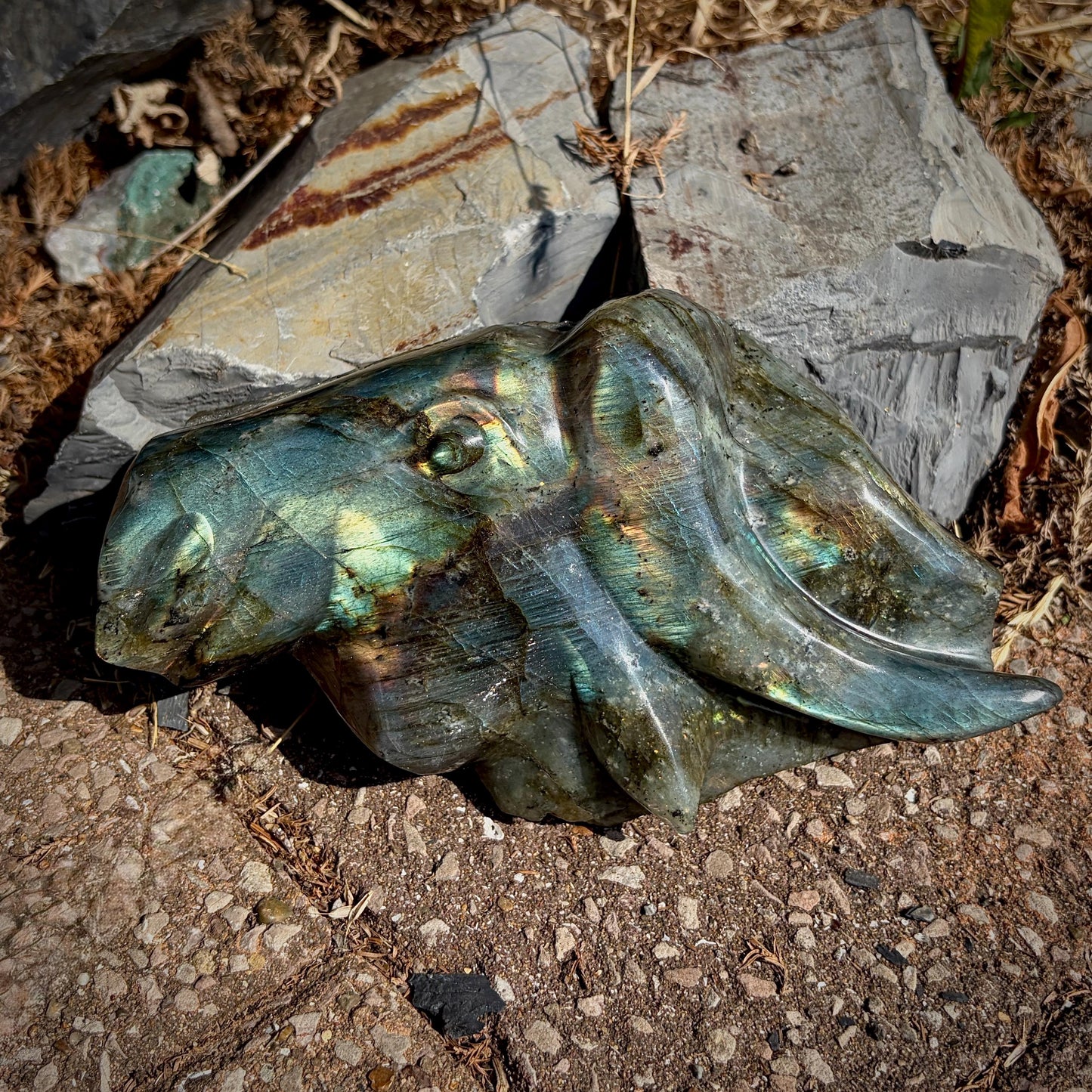 Labradorite Bull Crystal Carving | Hand Carved & Polished | Madagascan Labradorite Sculpture | 1.27kg