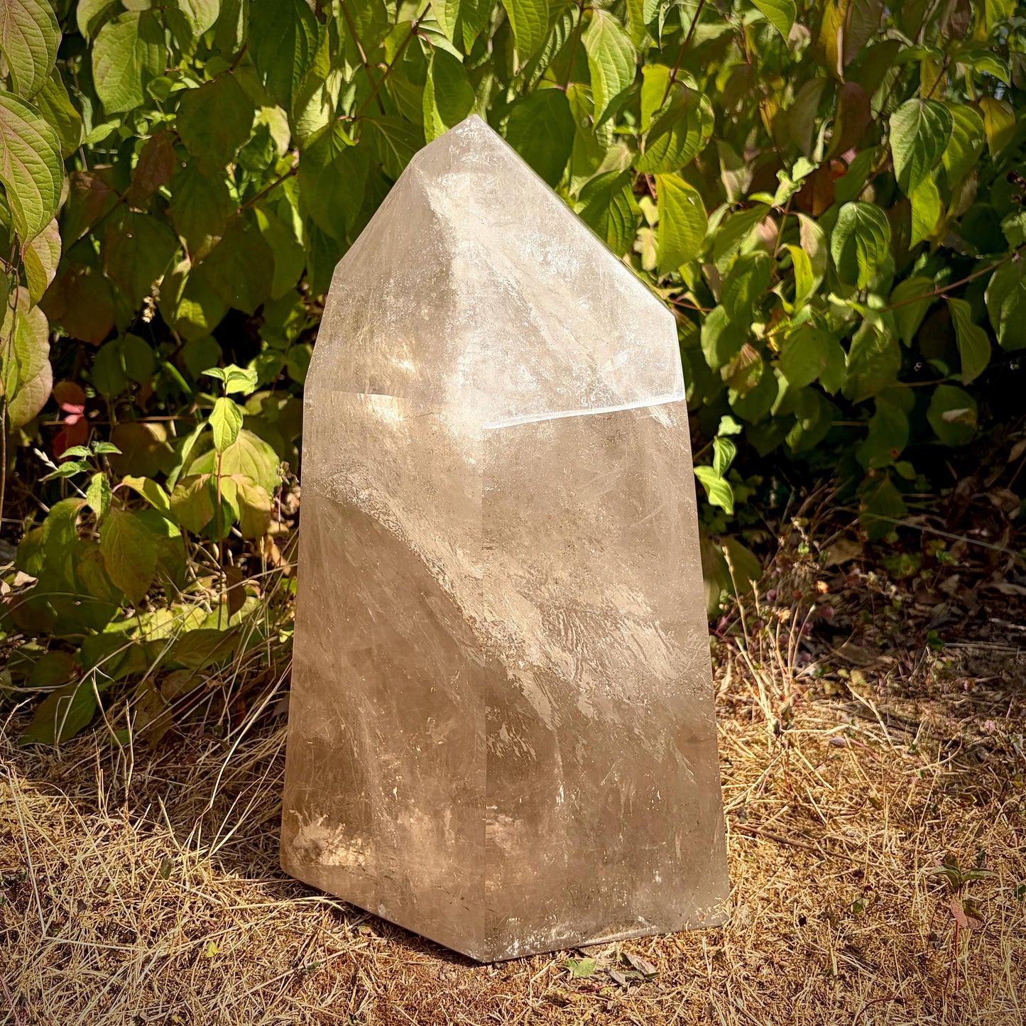 Smoky & Clear Quartz Statement Point | Large Natural Quartz Sculpture | Crystal Interior Decor | 25.6kg