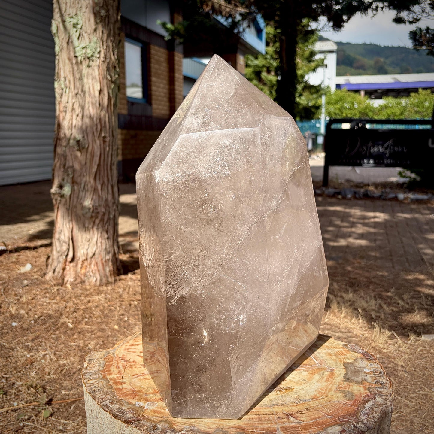 Smoky & Clear Quartz Statement Point | Large Natural Quartz Sculpture | Crystal Interior Decor | 25.6kg