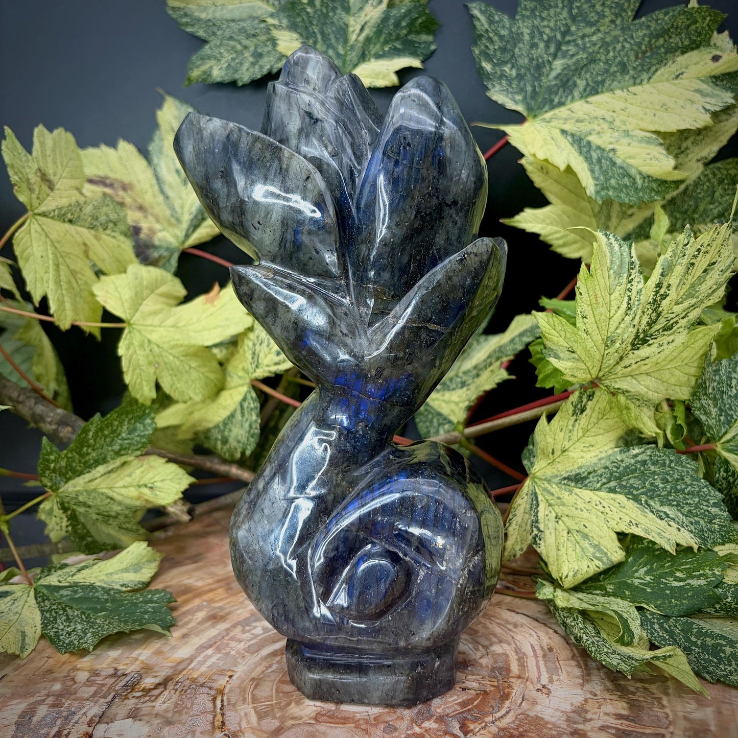 Labradorite Flower Sculpture | Hand Carved Floral Carving | Botanical Home Decor | 2kg