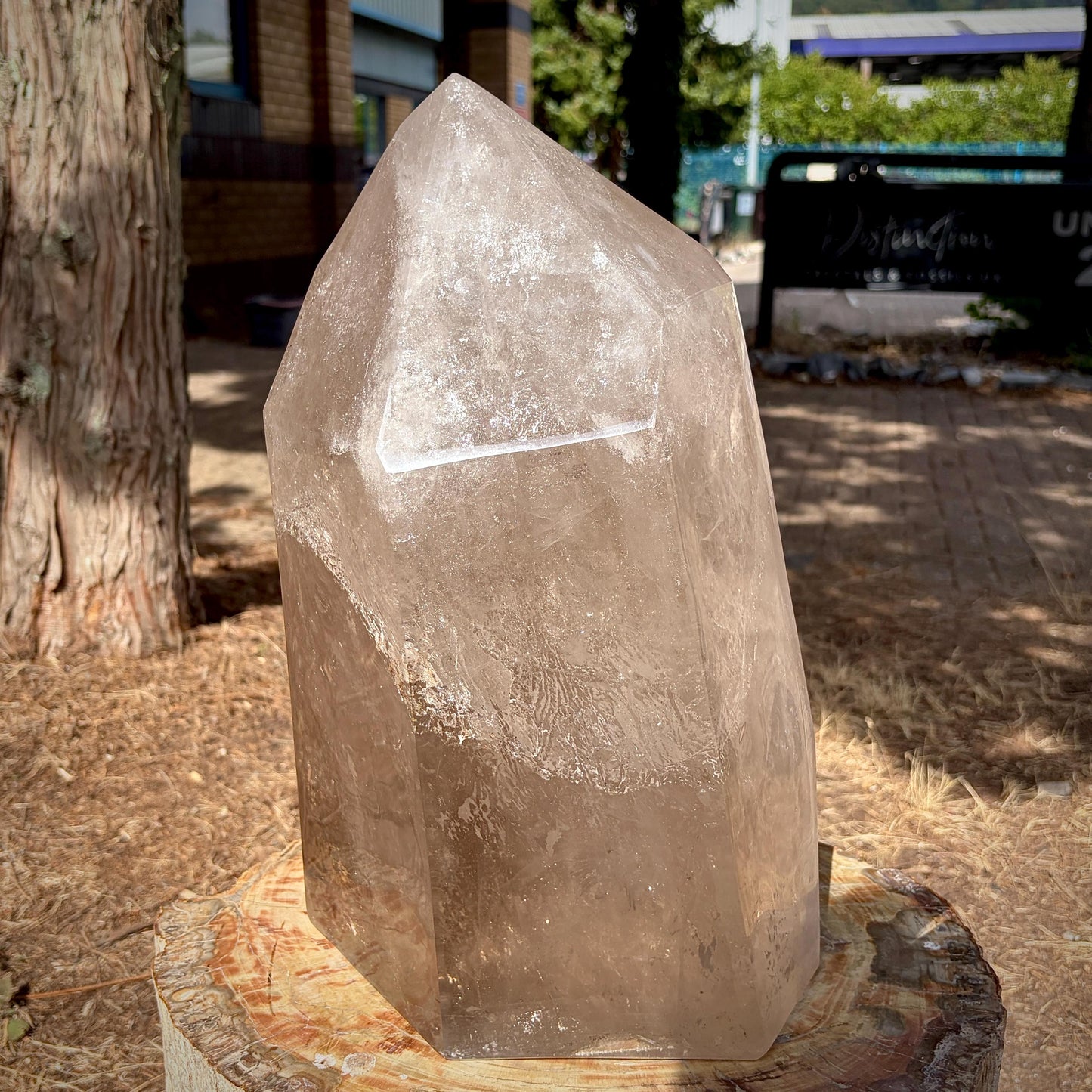 Smoky & Clear Quartz Statement Point | Large Natural Quartz Sculpture | Crystal Interior Decor | 25.6kg