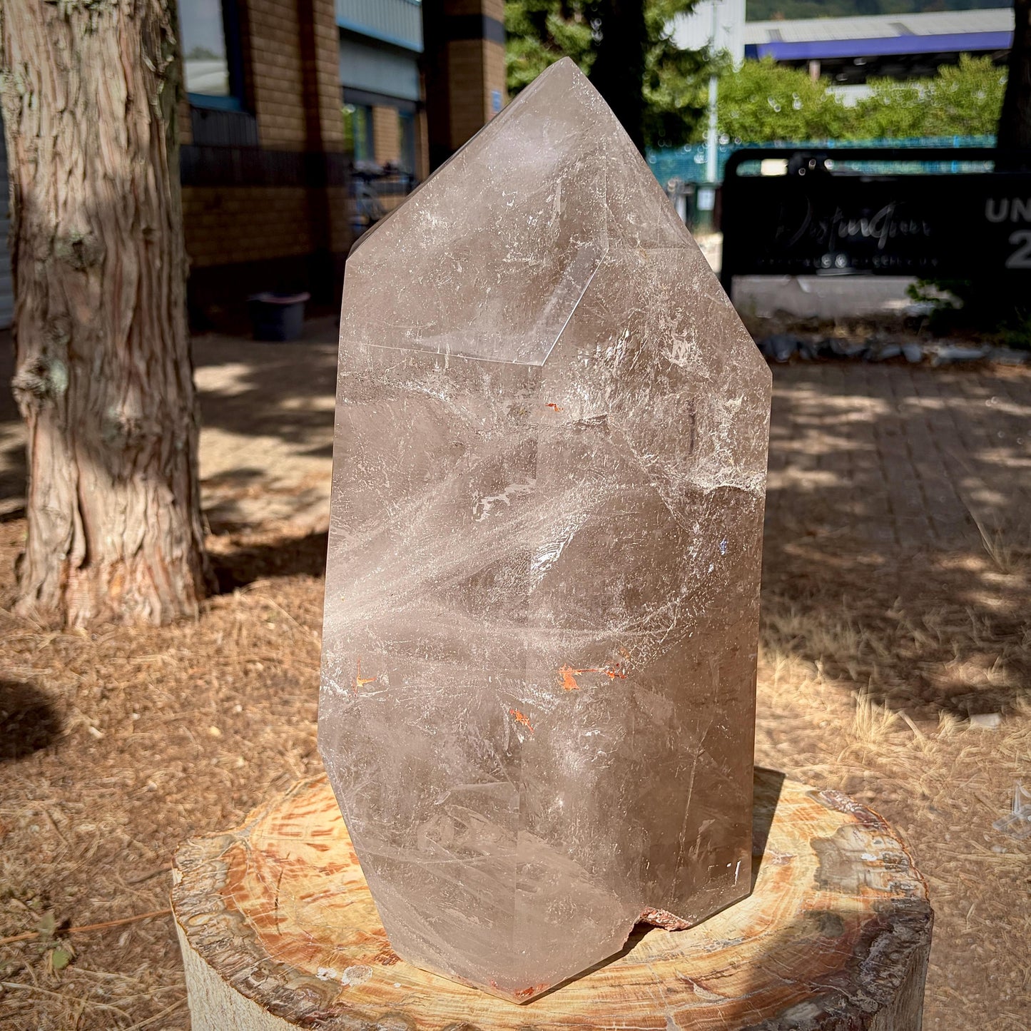 Smoky & Clear Quartz Statement Point | Large Natural Quartz Sculpture | Crystal Interior Decor | 25.6kg
