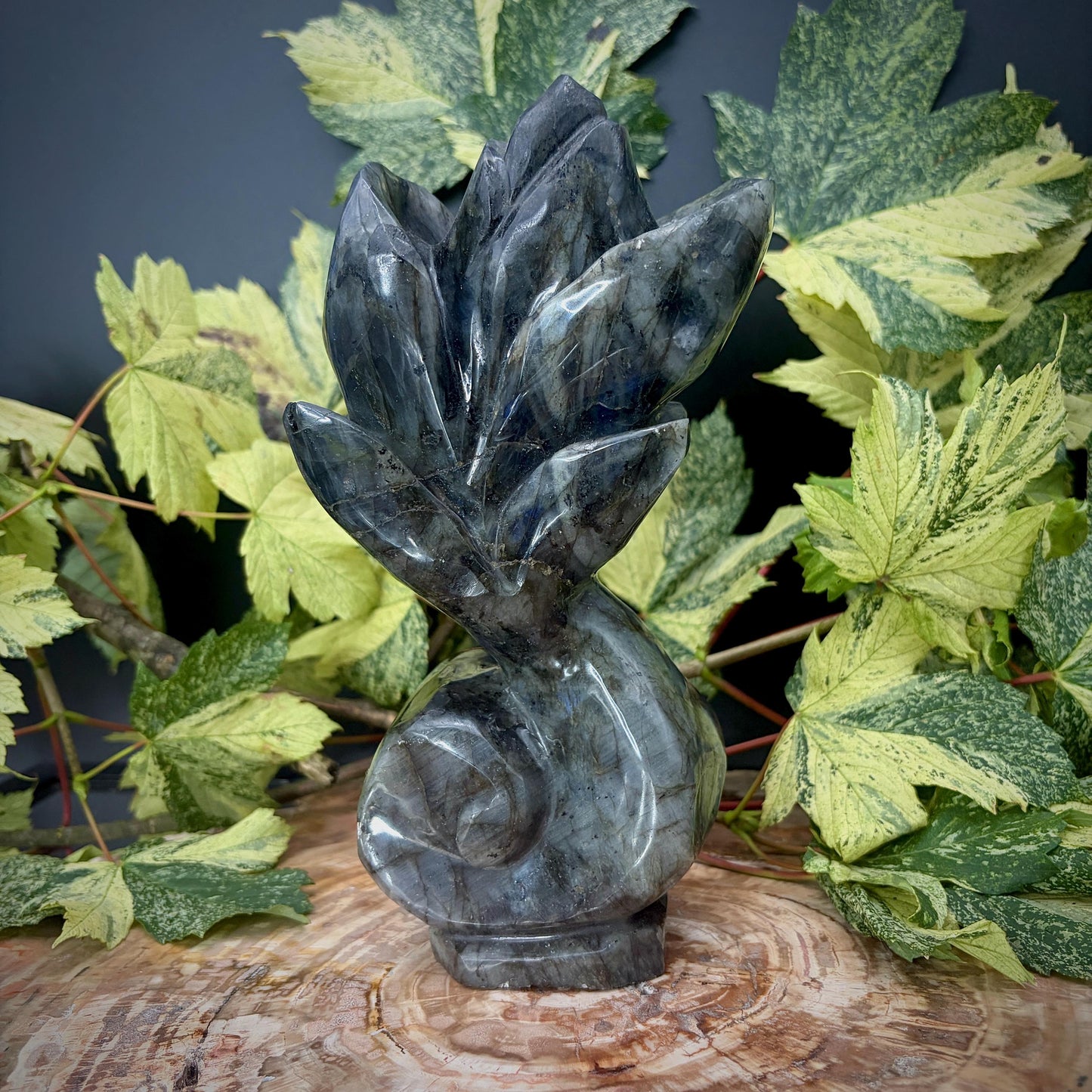 Labradorite Flower Sculpture | Hand Carved Floral Carving | Botanical Home Decor | 2kg