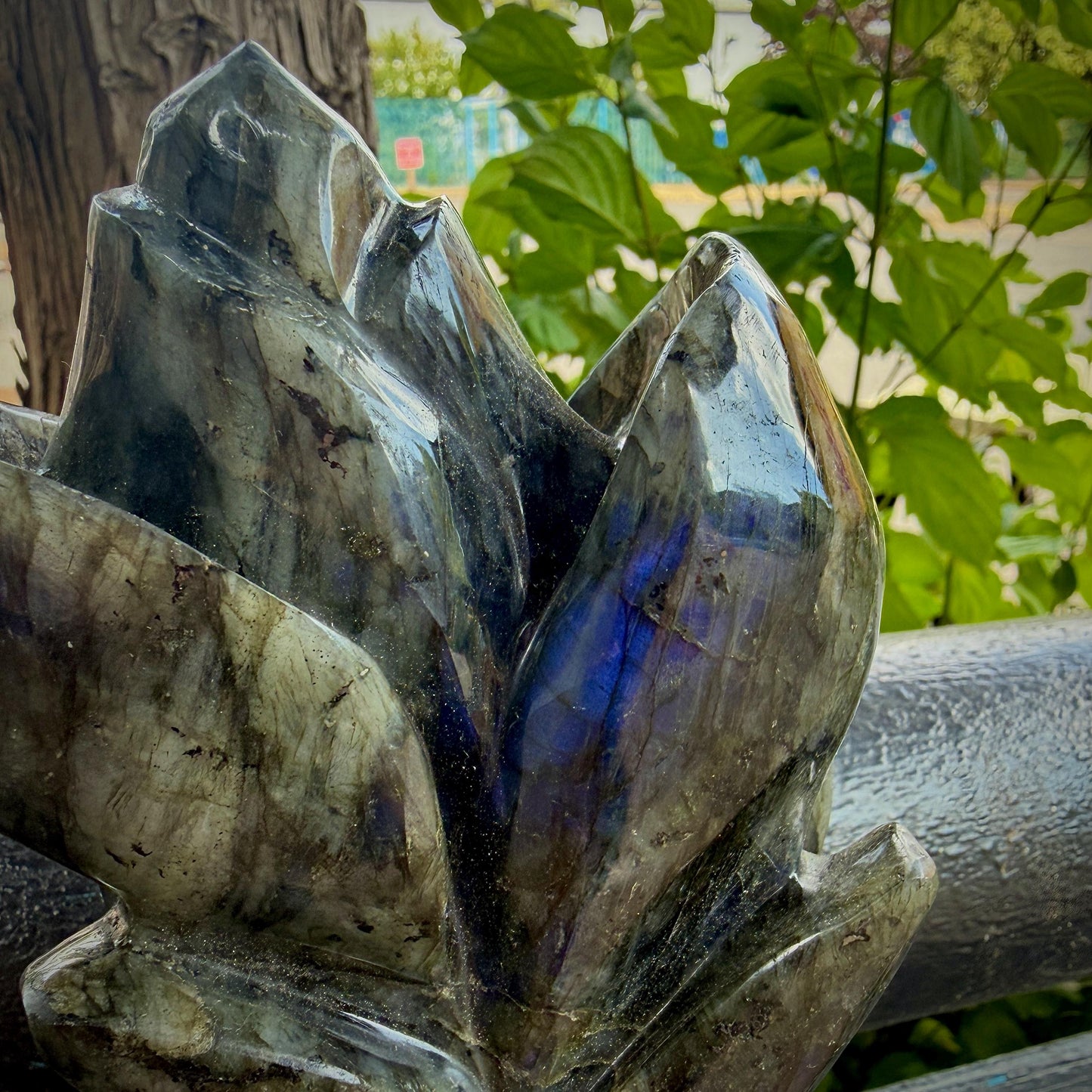 Labradorite Flower Sculpture | Hand Carved Floral Carving | Botanical Home Decor | 2kg
