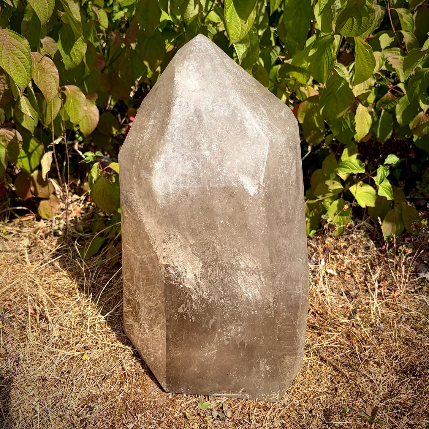 Smoky & Clear Quartz Statement Point | Large Natural Quartz Sculpture | Crystal Interior Decor | 25.6kg