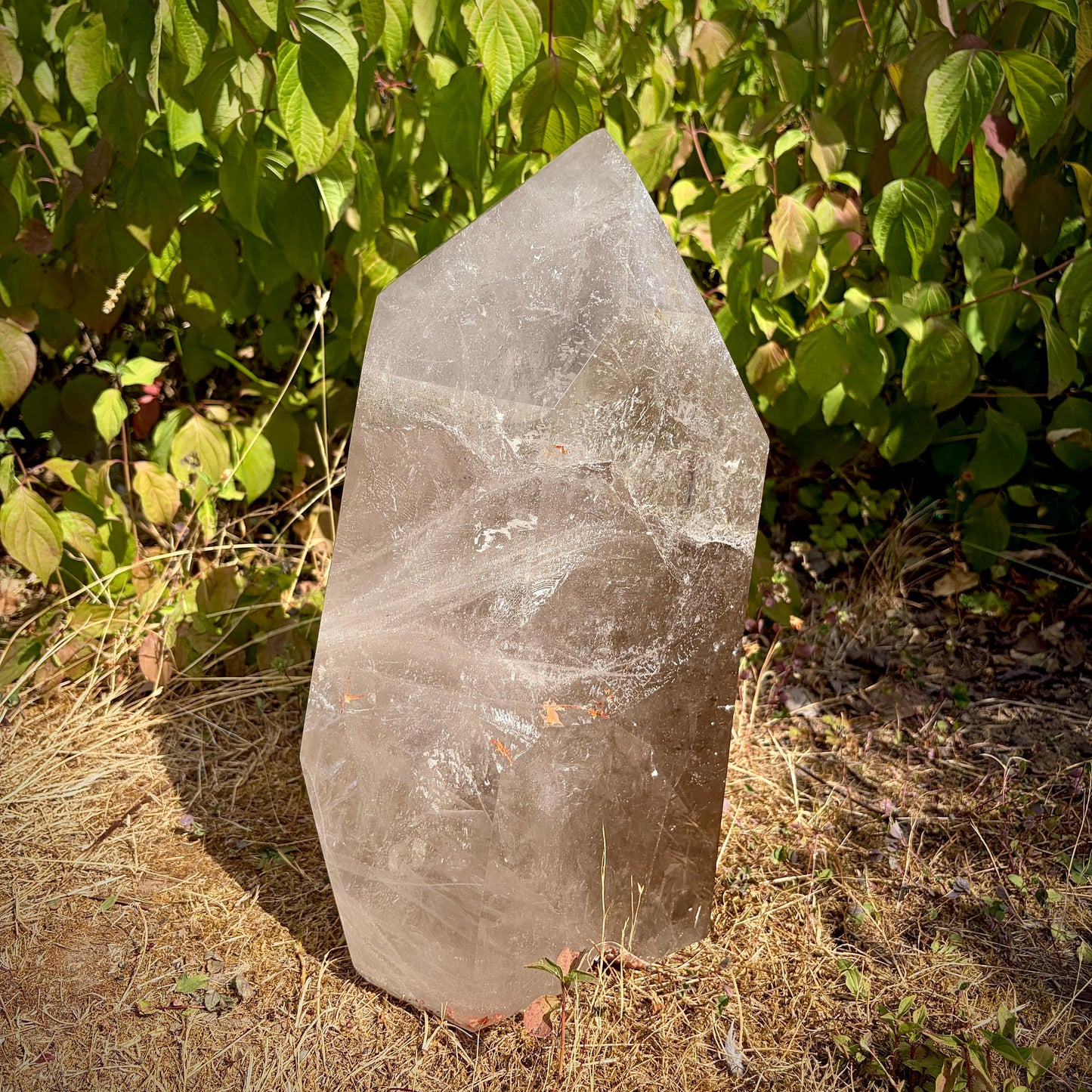 Smoky & Clear Quartz Statement Point | Large Natural Quartz Sculpture | Crystal Interior Decor | 25.6kg