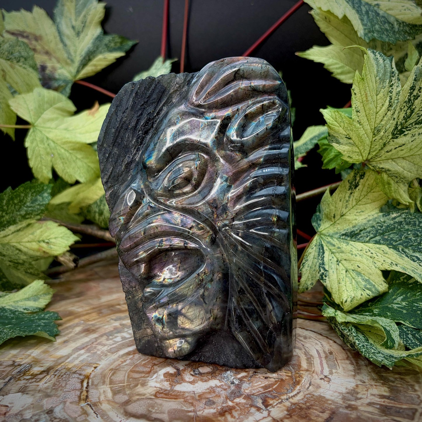Labradorite Lion Crystal Carving | Purple & Sunset Labradorite Sculpture | Safari Decor | Wildlife Gift | 1.28kg