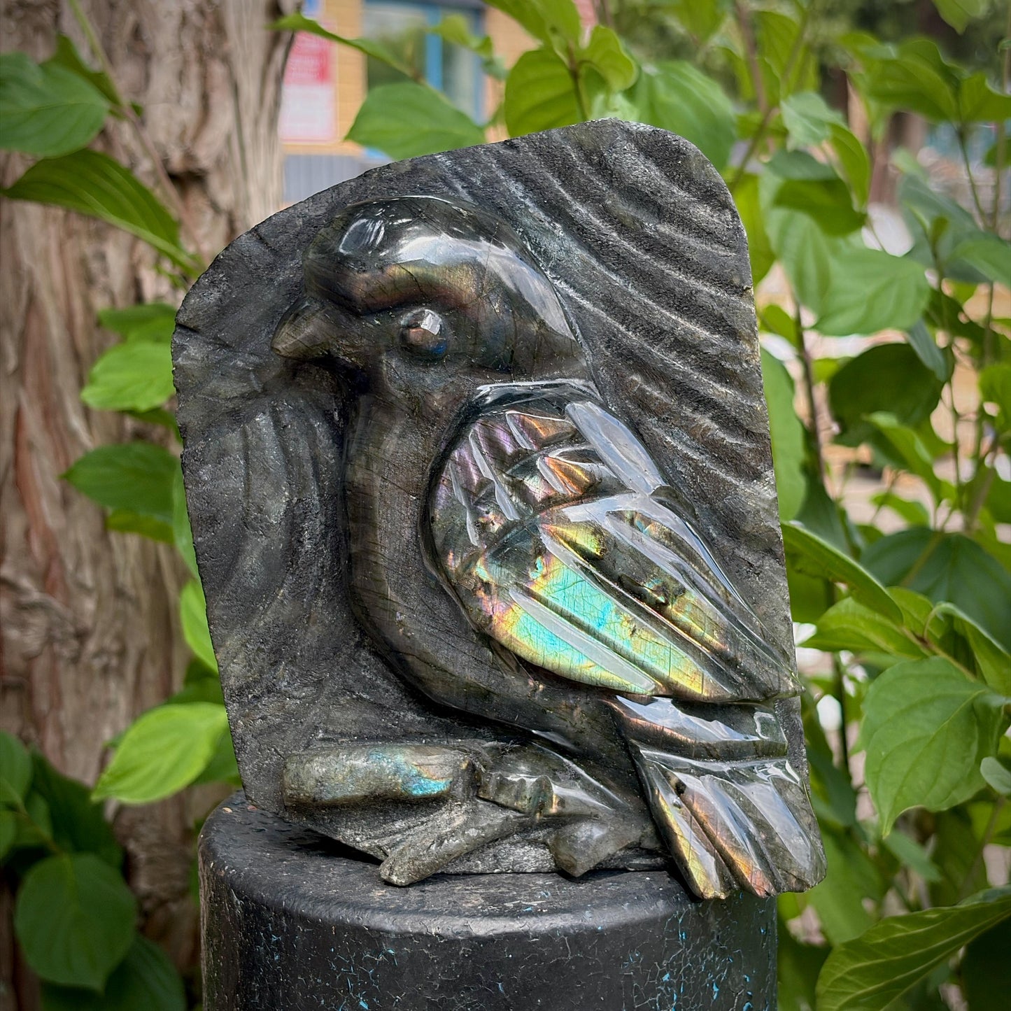 Labradorite Songbird Crystal Carving | Hand Carved Sculpture | Bird Lover Gift | 3.39kg