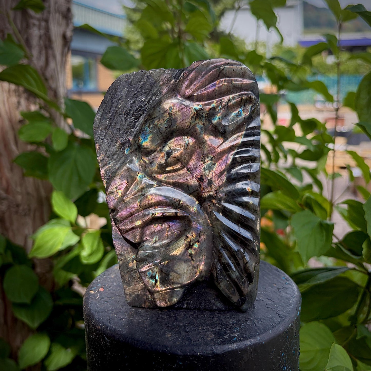Labradorite Lion Crystal Carving | Purple & Sunset Labradorite Sculpture | Safari Decor | Wildlife Gift | 1.28kg