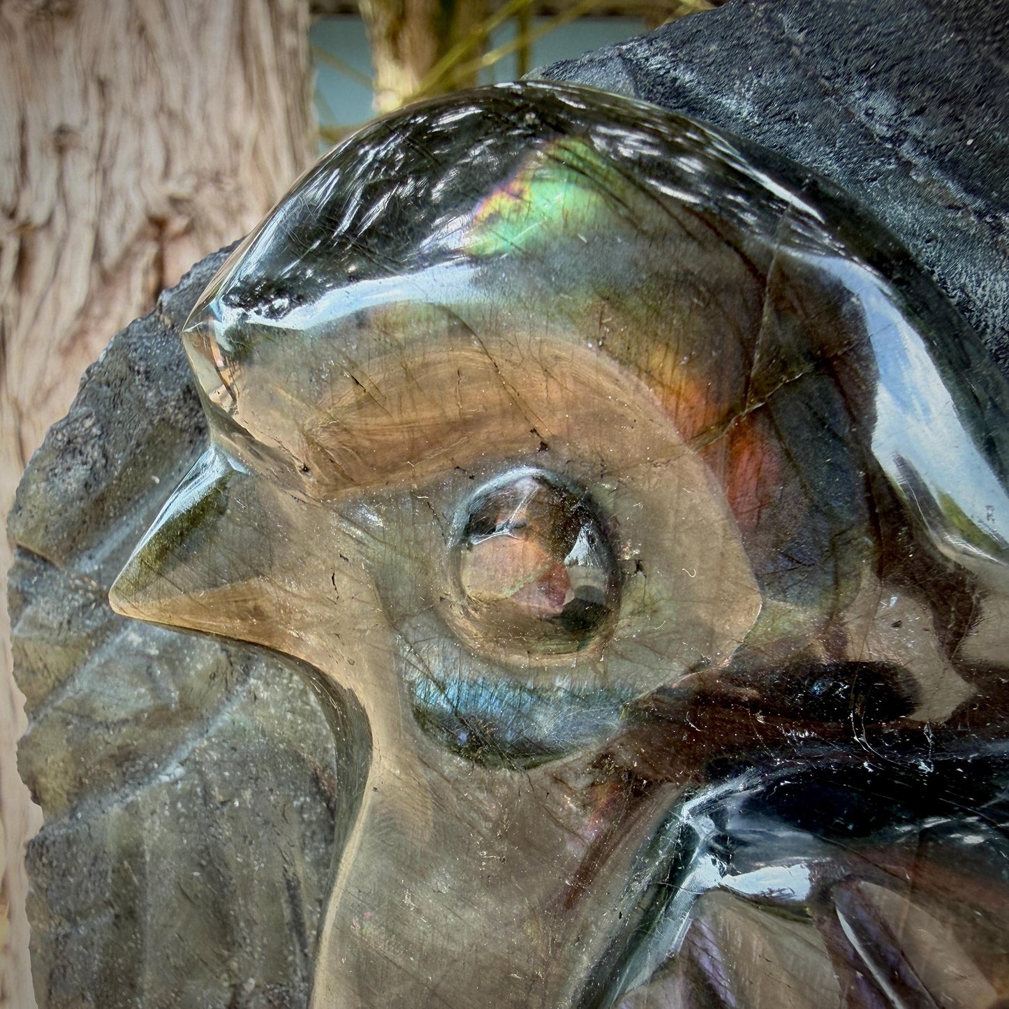 Labradorite Songbird Crystal Carving | Hand Carved Sculpture | Bird Lover Gift | 3.39kg