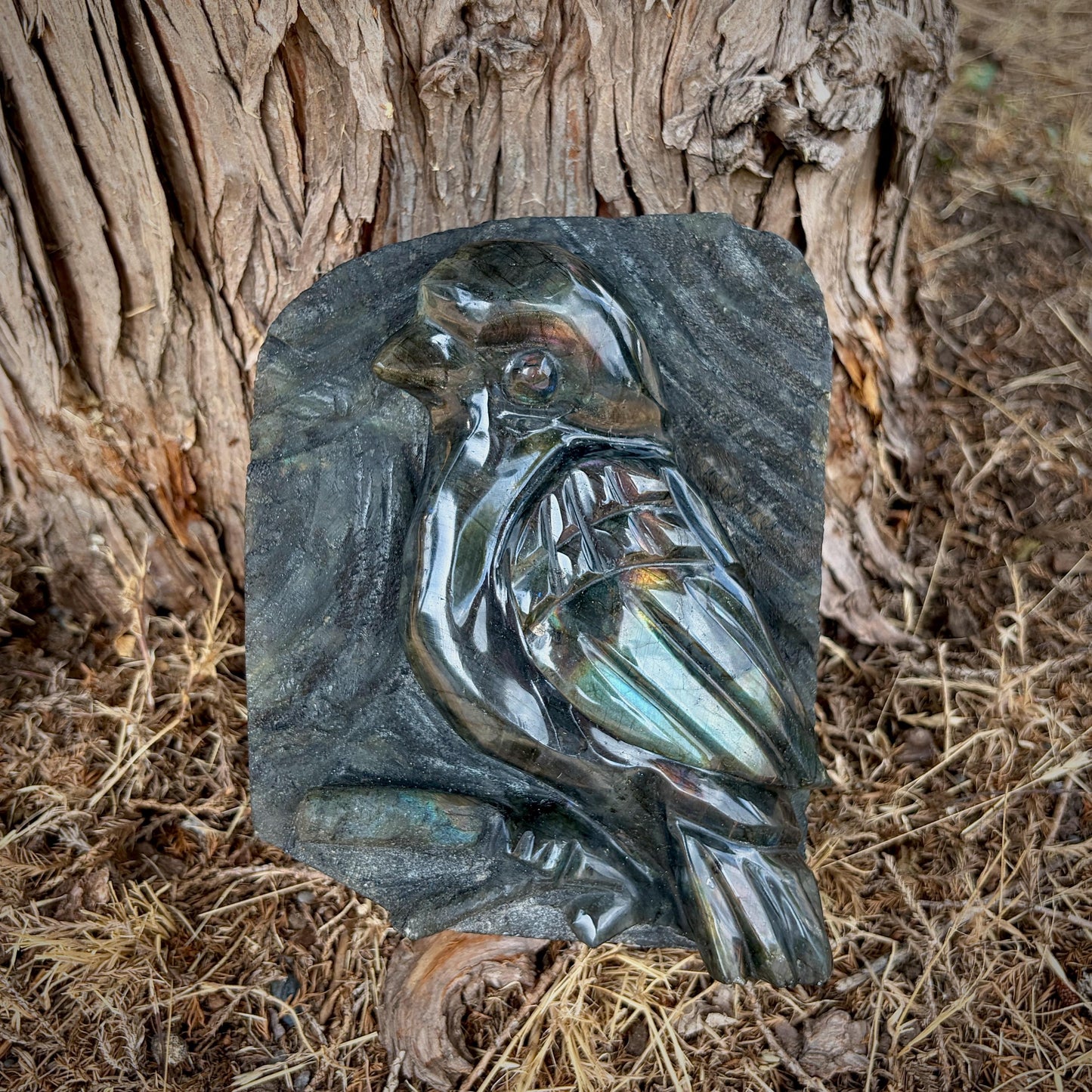 Labradorite Songbird Crystal Carving | Hand Carved Sculpture | Bird Lover Gift | 3.39kg