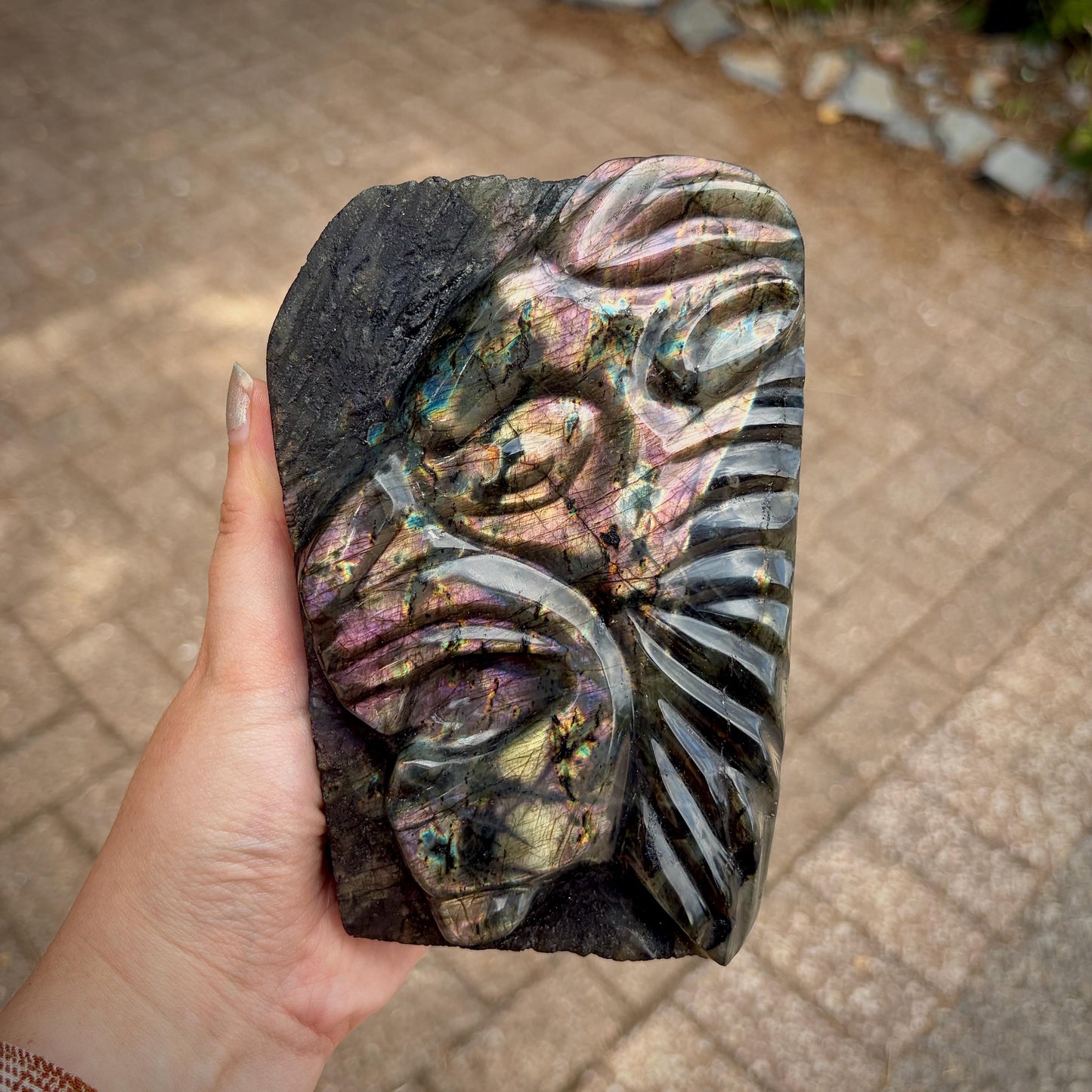 Labradorite Lion Crystal Carving | Purple & Sunset Labradorite Sculpture | Safari Decor | Wildlife Gift | 1.28kg