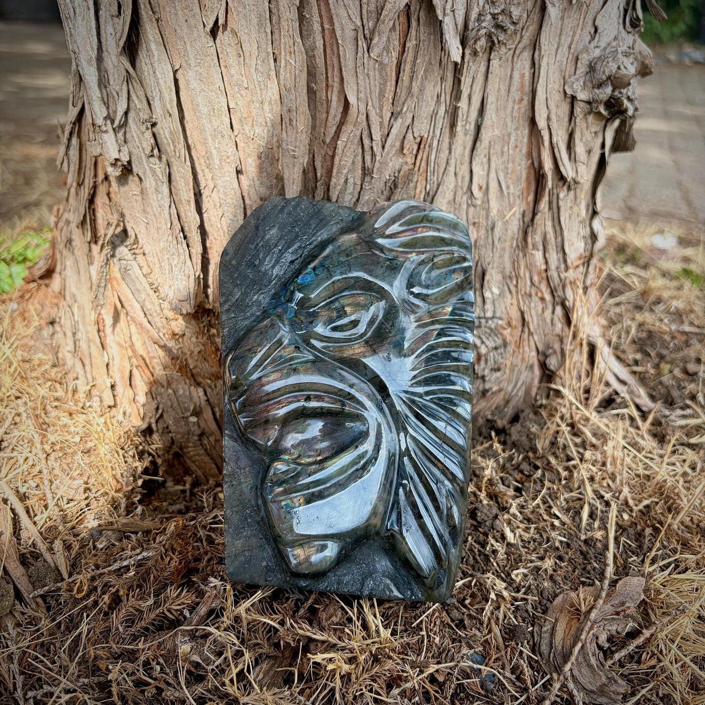 Labradorite Lion Crystal Carving | Purple & Sunset Labradorite Sculpture | Safari Decor | Wildlife Gift | 1.28kg