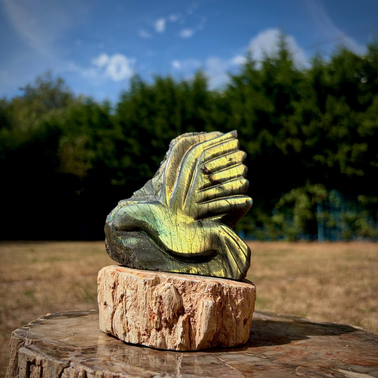 Labradorite Dove Crystal Carving | Peace Dove Sculpture | Symbolic Gift | 609g