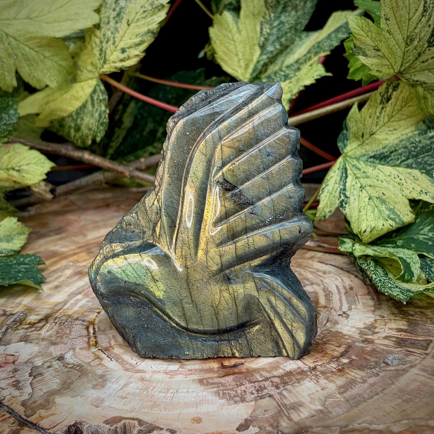 Labradorite Dove Crystal Carving | Peace Dove Sculpture | Symbolic Gift | 609g