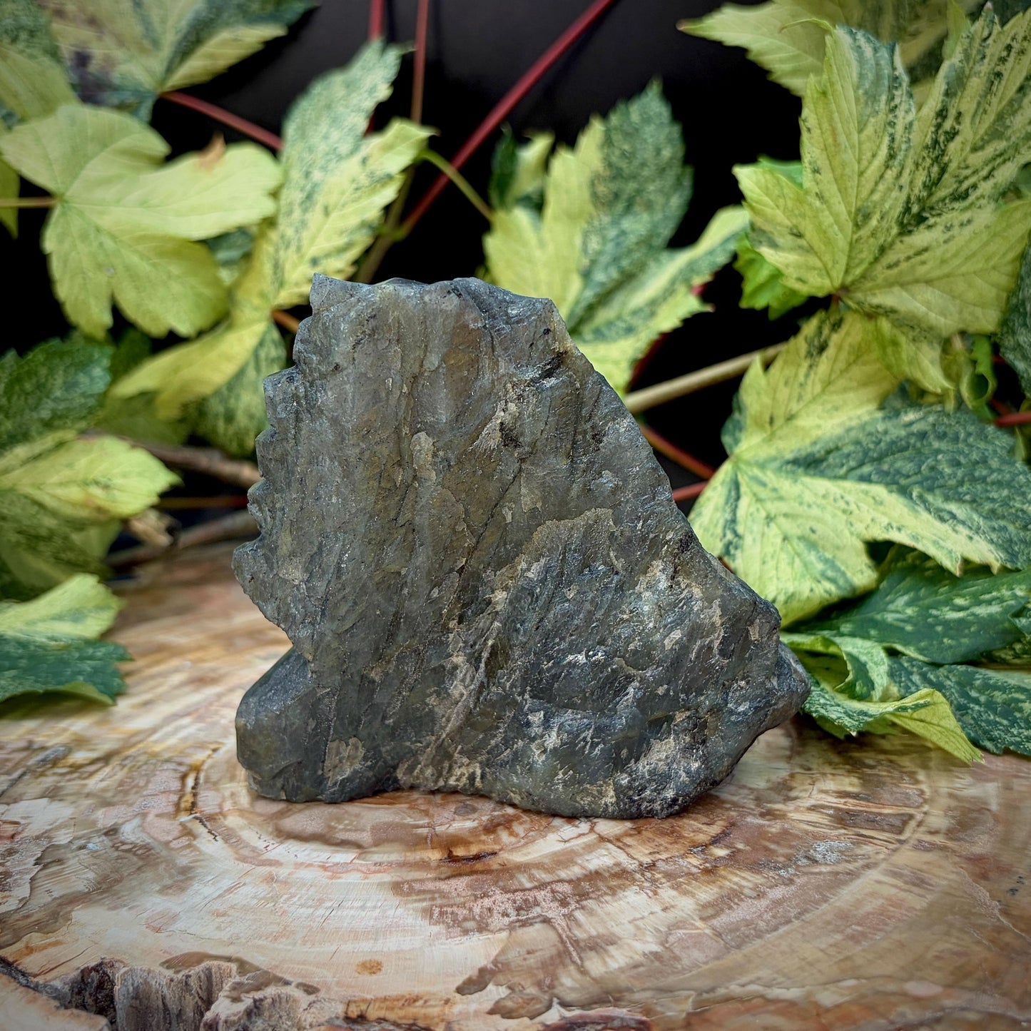 Labradorite Dove Crystal Carving | Peace Dove Sculpture | Symbolic Gift | 609g