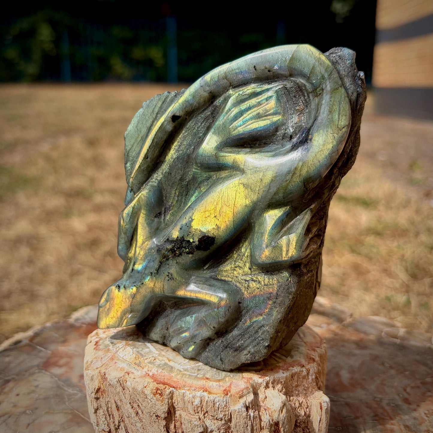 Labradorite Lizard Crystal Carving | Hand Carved Sculpture | Reptile Home Decor | 774g