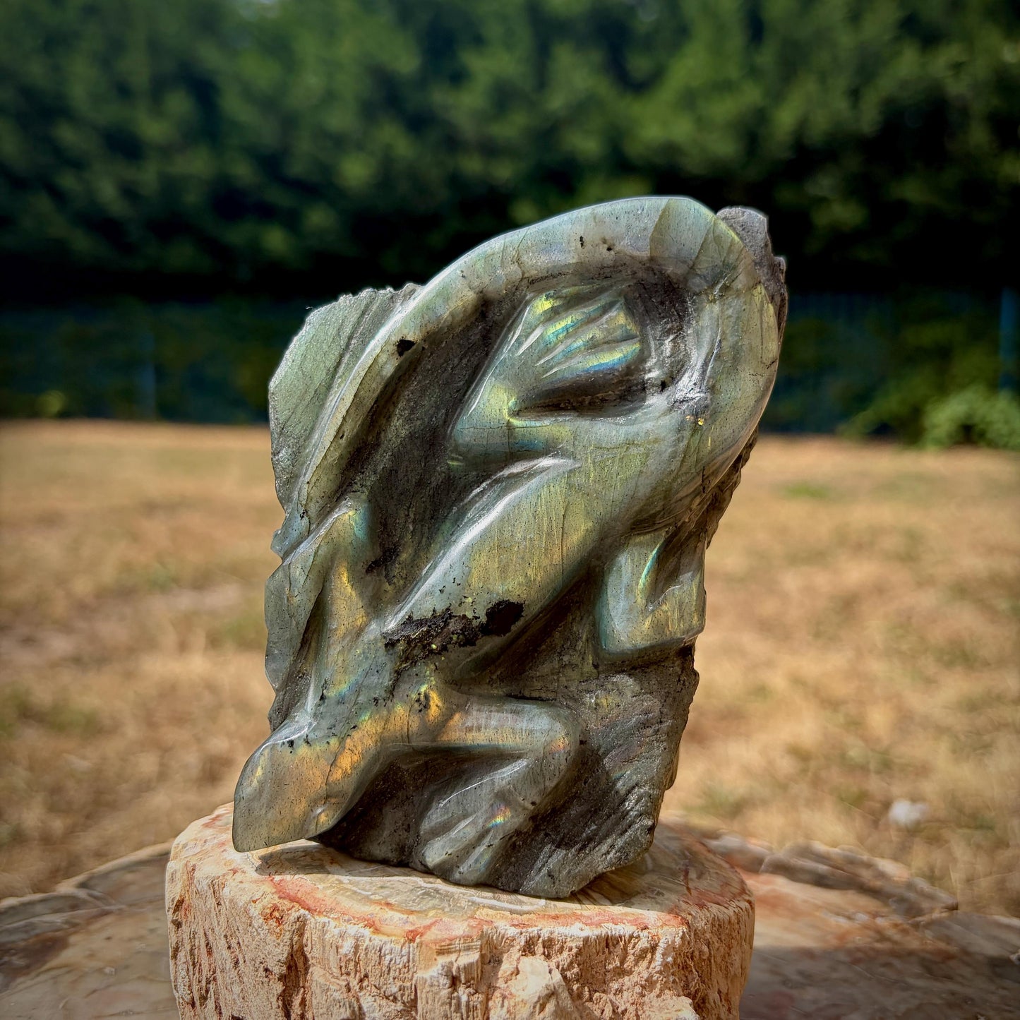 Labradorite Lizard Crystal Carving | Hand Carved Sculpture | Reptile Home Decor | 774g