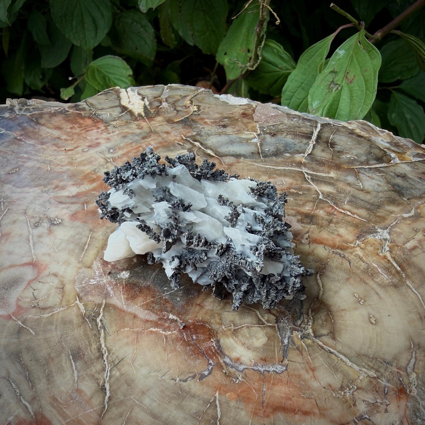 Native Silver on Calcite Matrix | Natural Mineral Specimen | Morocco (b6 #6)