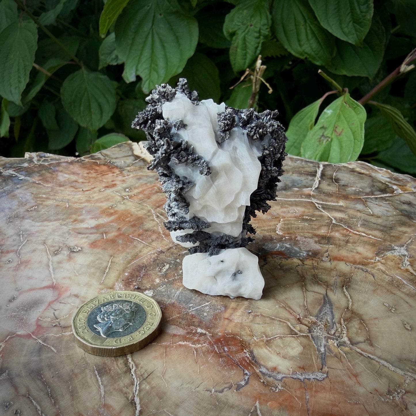Native Silver on Calcite Matrix | Natural Mineral Specimen | Morocco (b6 #6)