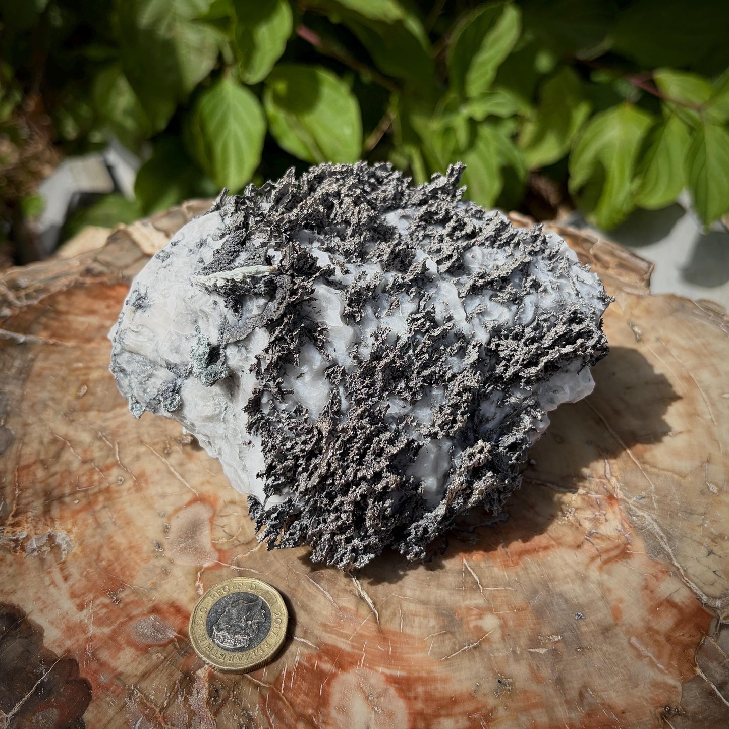 Large Native Silver on Calcite Matrix | Natural Mineral Specimen | Morocco (b7 #1)