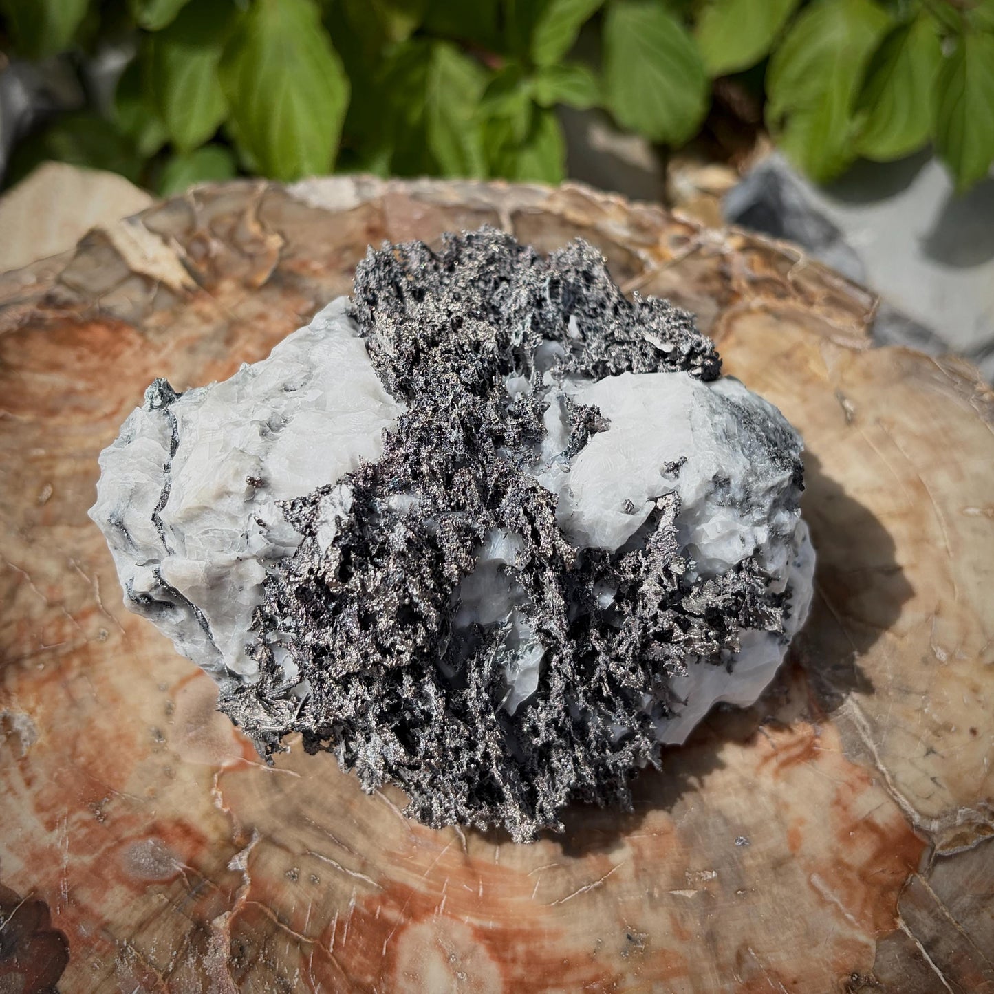 Large Native Silver on Calcite Matrix | Natural Mineral Specimen | Morocco (b7 #1)