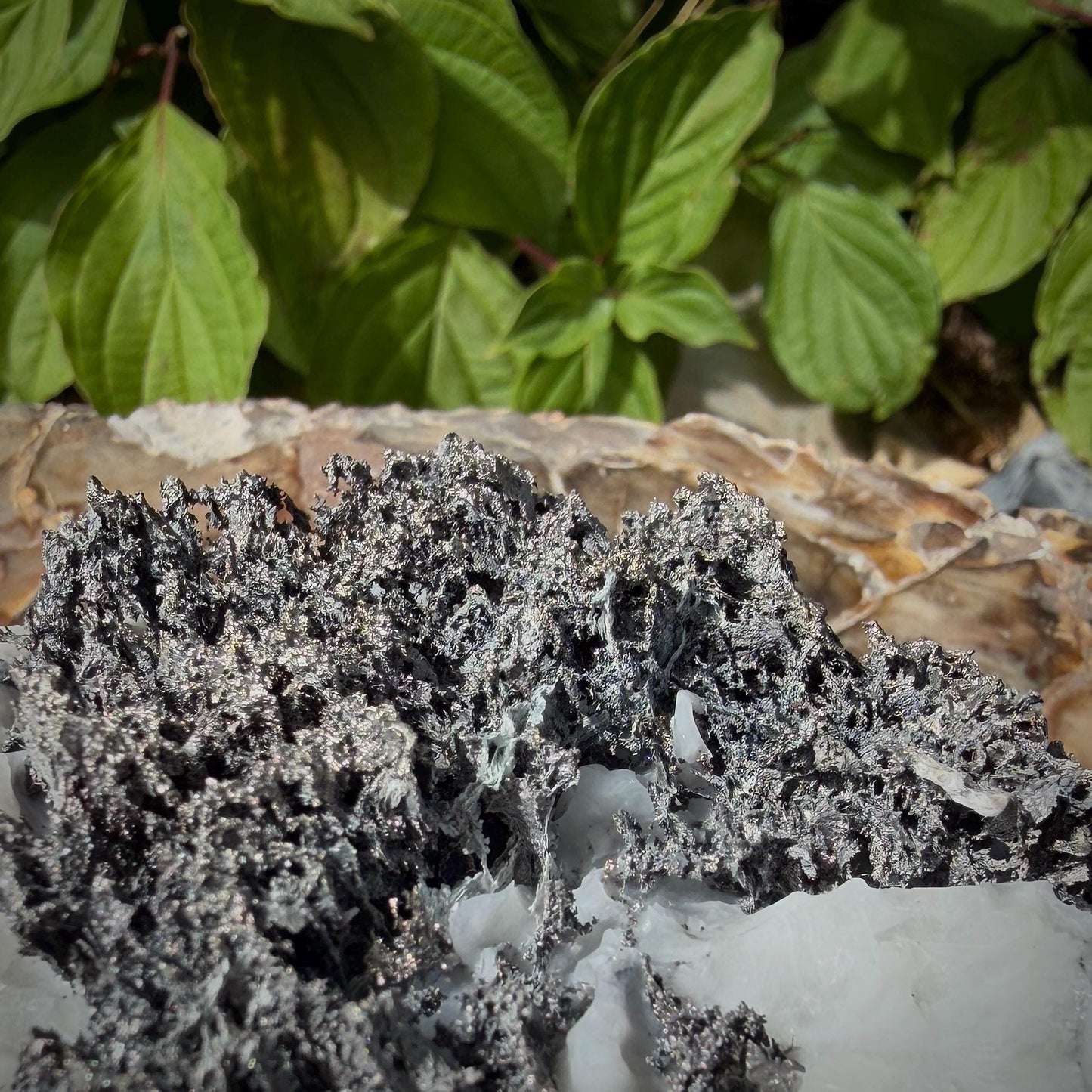 Large Native Silver on Calcite Matrix | Natural Mineral Specimen | Morocco (b7 #1)