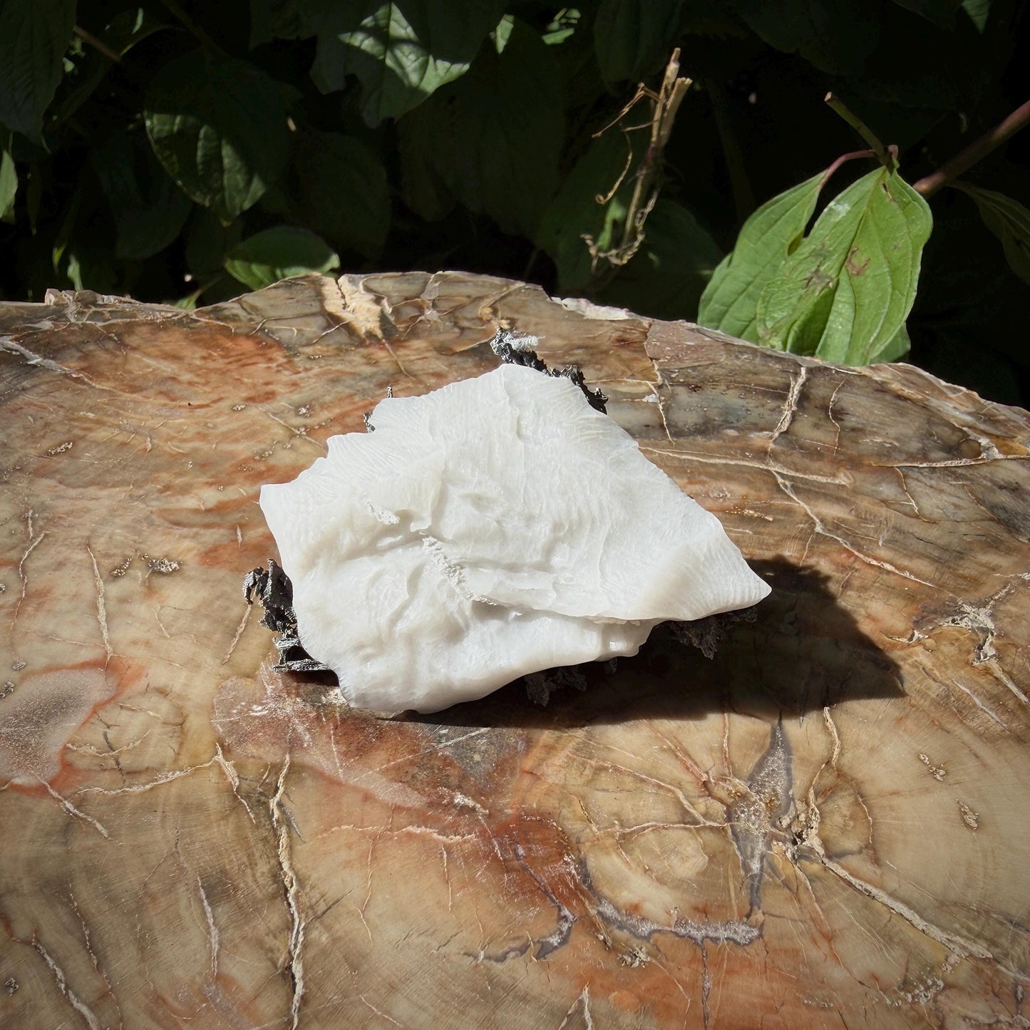 Native Silver on Calcite Matrix | Natural Mineral Specimen | Morocco (b6 #4)