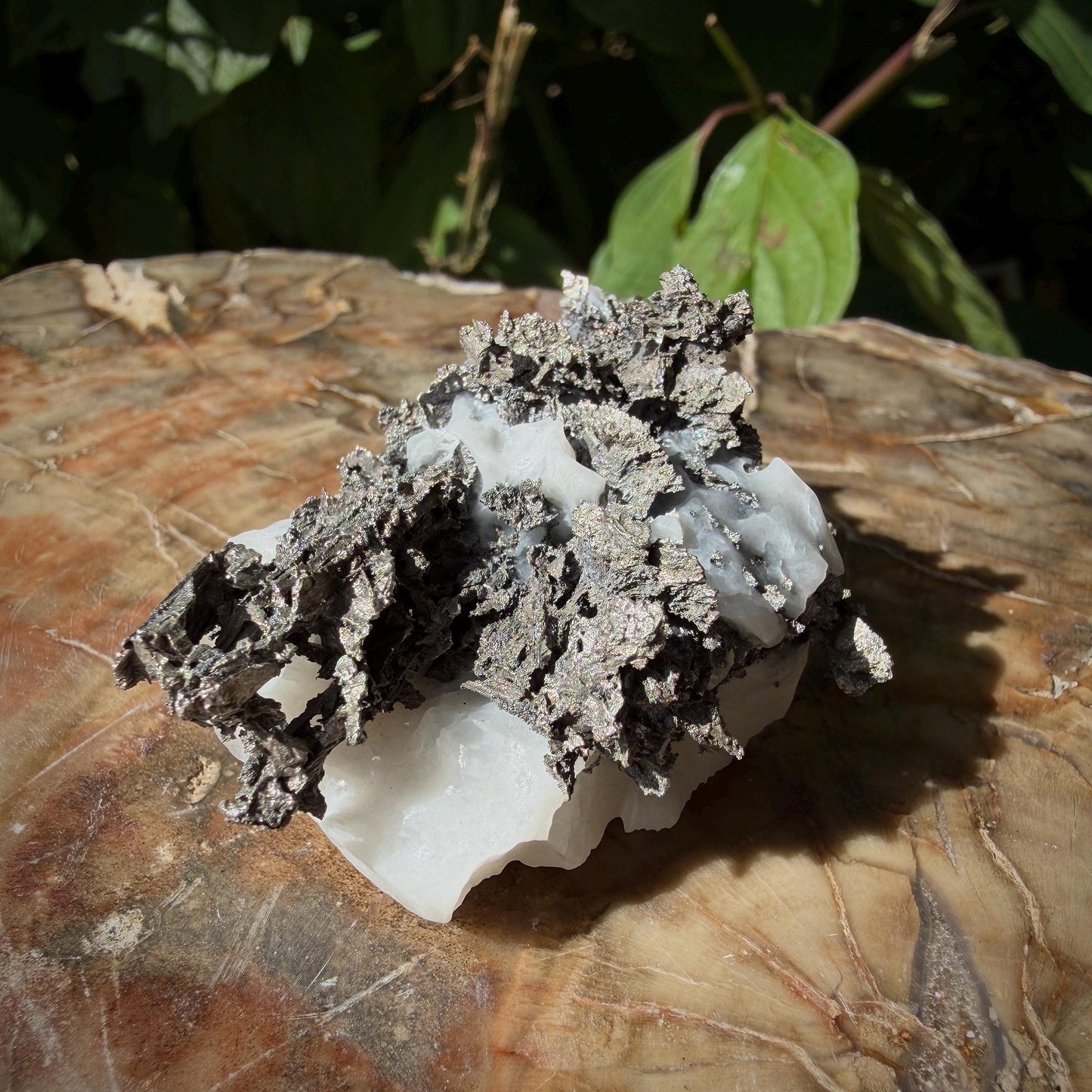 Native Silver on Calcite Matrix | Natural Mineral Specimen | Morocco (b6 #4)