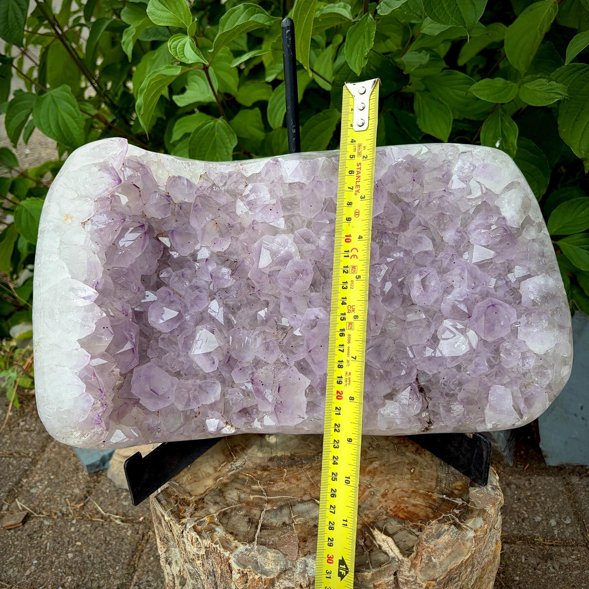 Large Amethyst Cluster with Polished Edge | 13.1 KG
