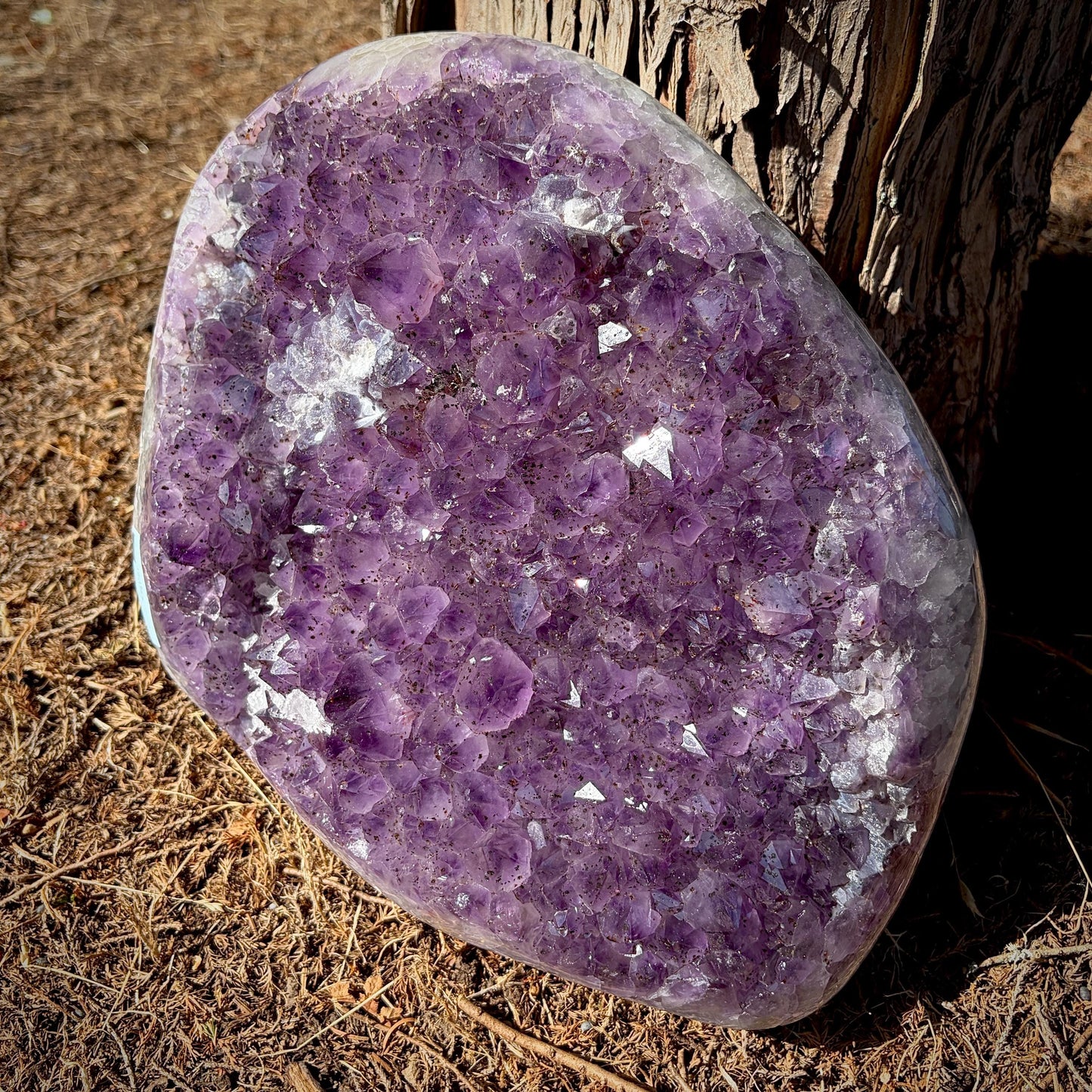 Large Dark Purple Amethyst Cluster with Polished Edge | 12.15 KG