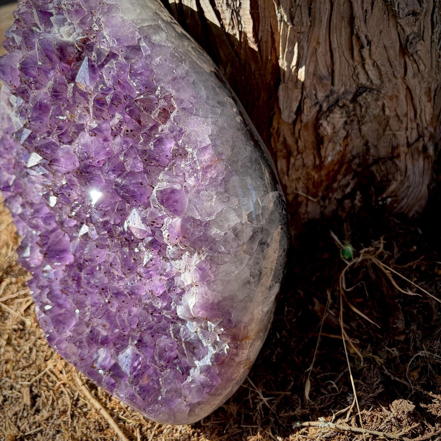 Large Dark Purple Amethyst Cluster with Polished Edge | 12.15 KG