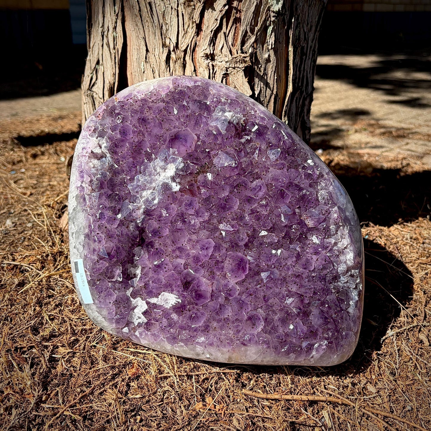 Large Dark Purple Amethyst Cluster with Polished Edge | 12.15 KG