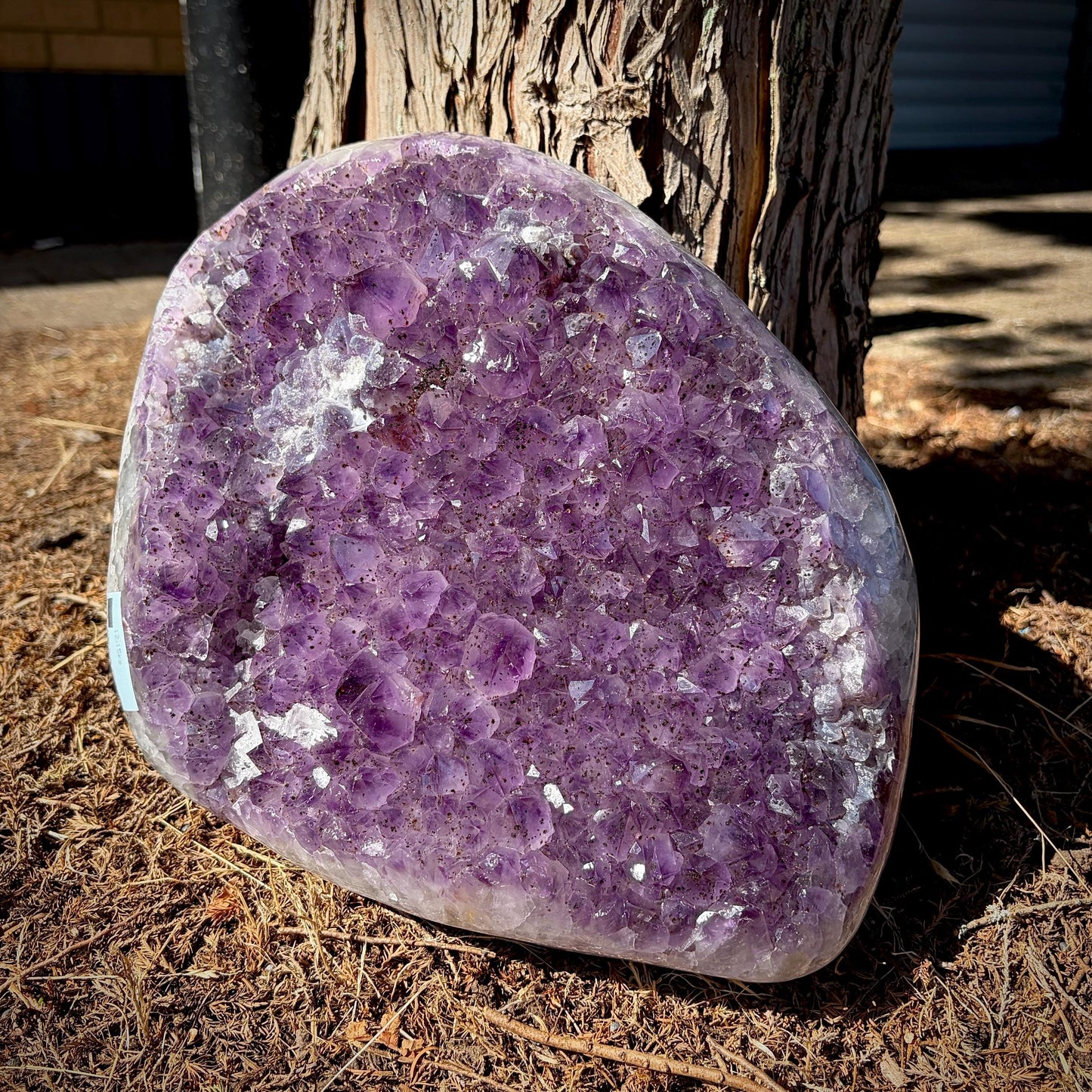 Large Dark Purple Amethyst Cluster with Polished Edge | 12.15 KG