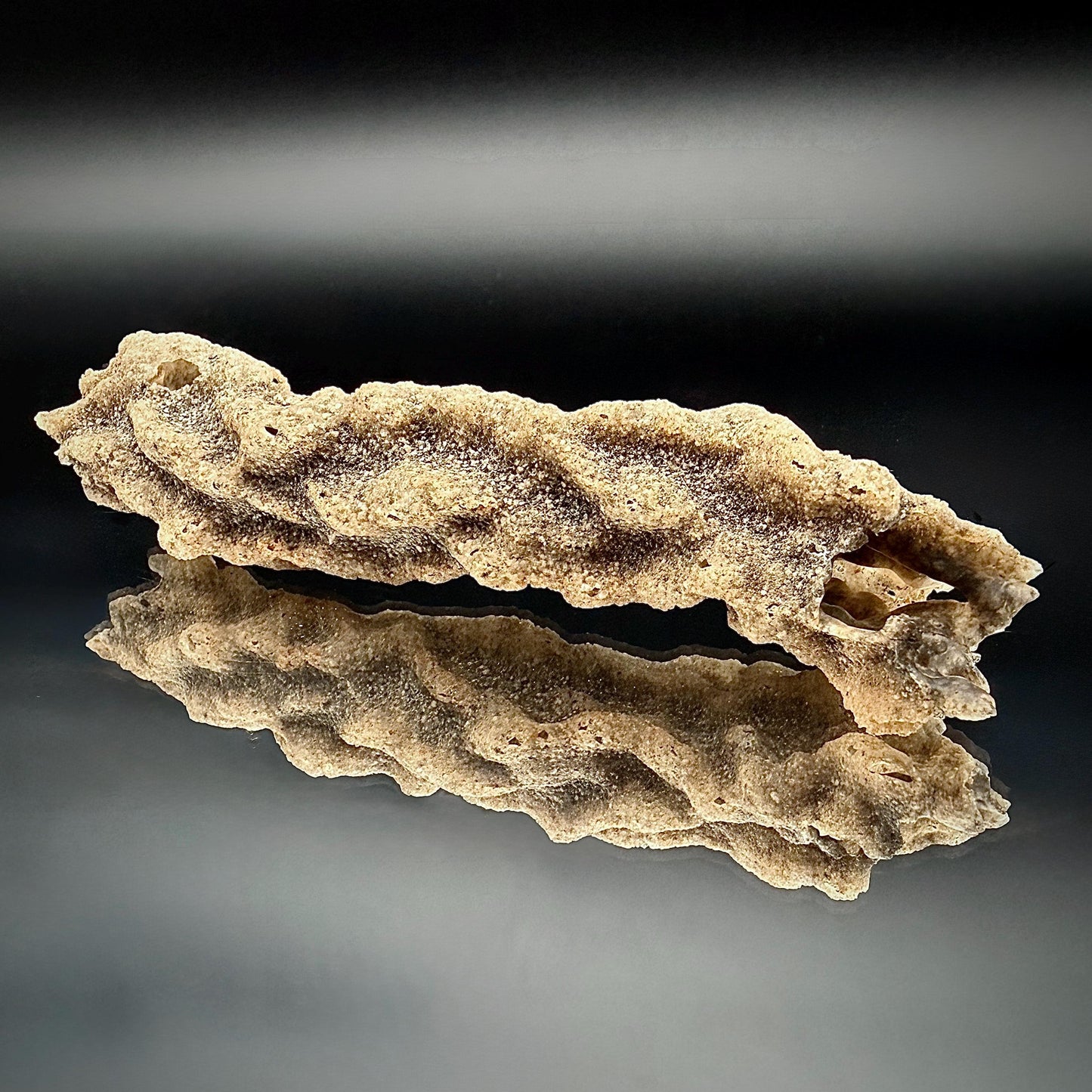Large Fulgurite Specimen -  Petrified Lightning Stone from Libyan Desert #20