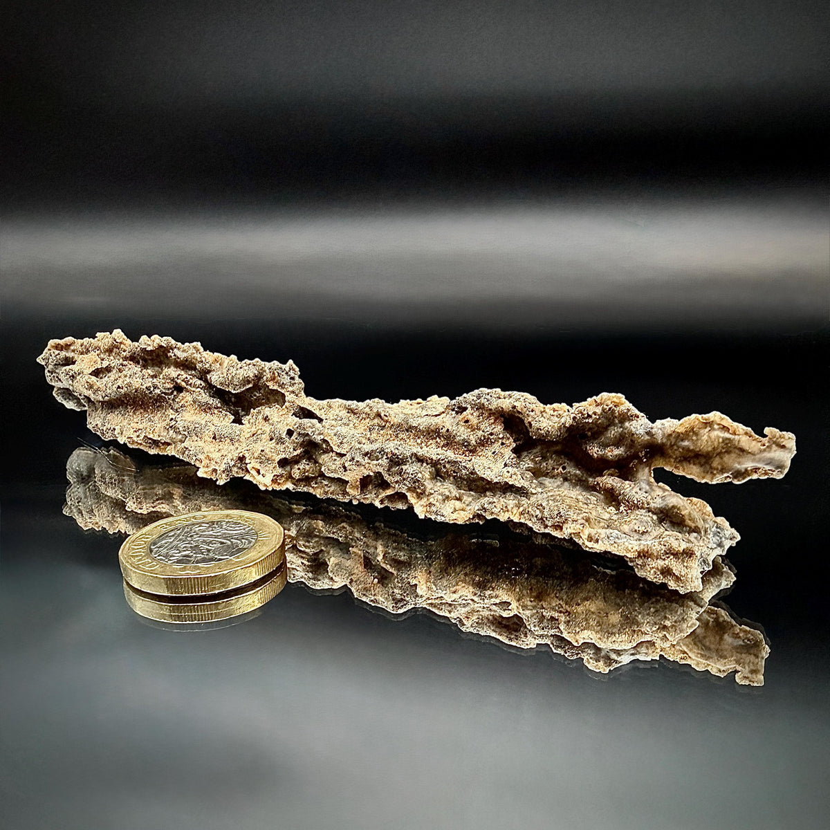 Large Fulgurite Specimen -  Petrified Lightning Stone from Libyan Desert #18