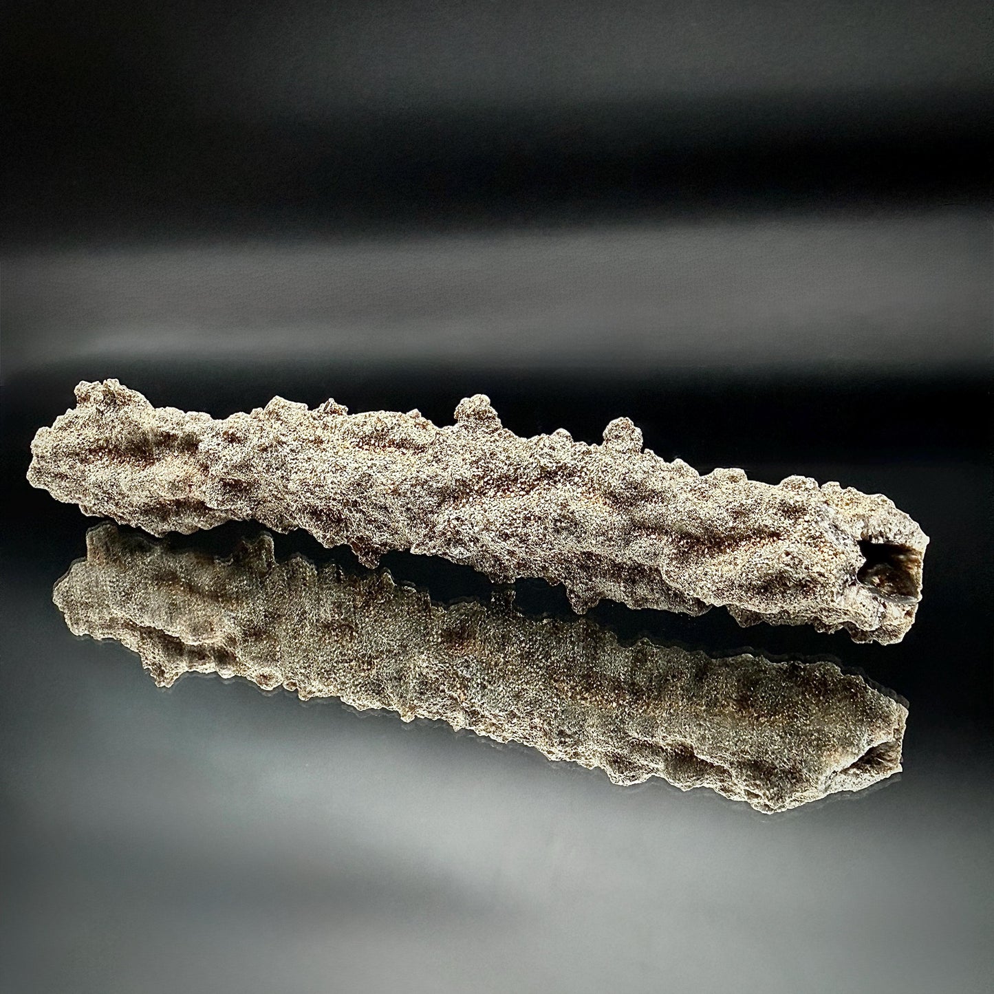 Large Fulgurite Specimen -  Petrified Lightning Stone from Libyan Desert #14