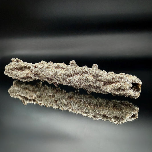 Large Fulgurite Specimen -  Petrified Lightning Stone from Libyan Desert #14