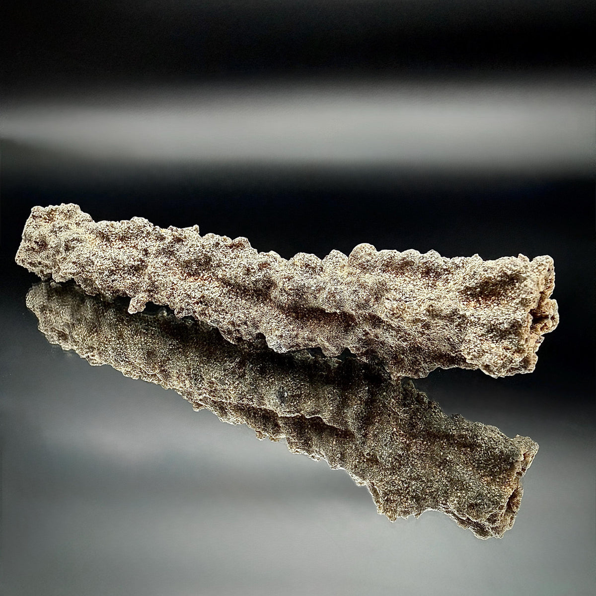 Large Fulgurite Specimen -  Petrified Lightning Stone from Libyan Desert #14
