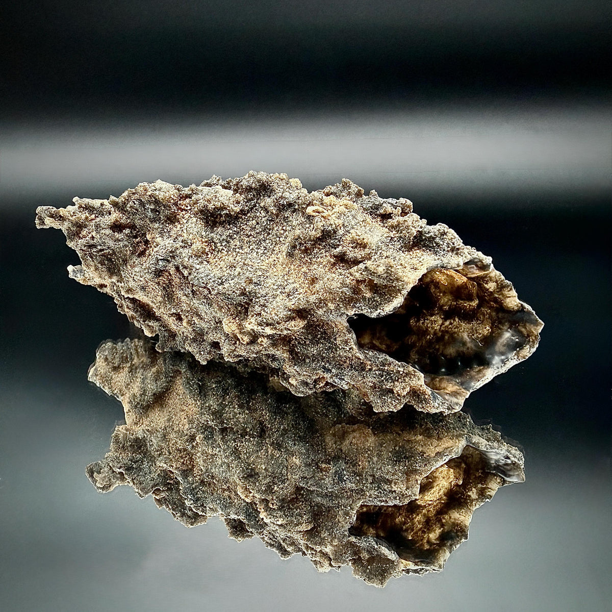 Large Fulgurite Specimen -  Petrified Lightning Stone from Libyan Desert #12
