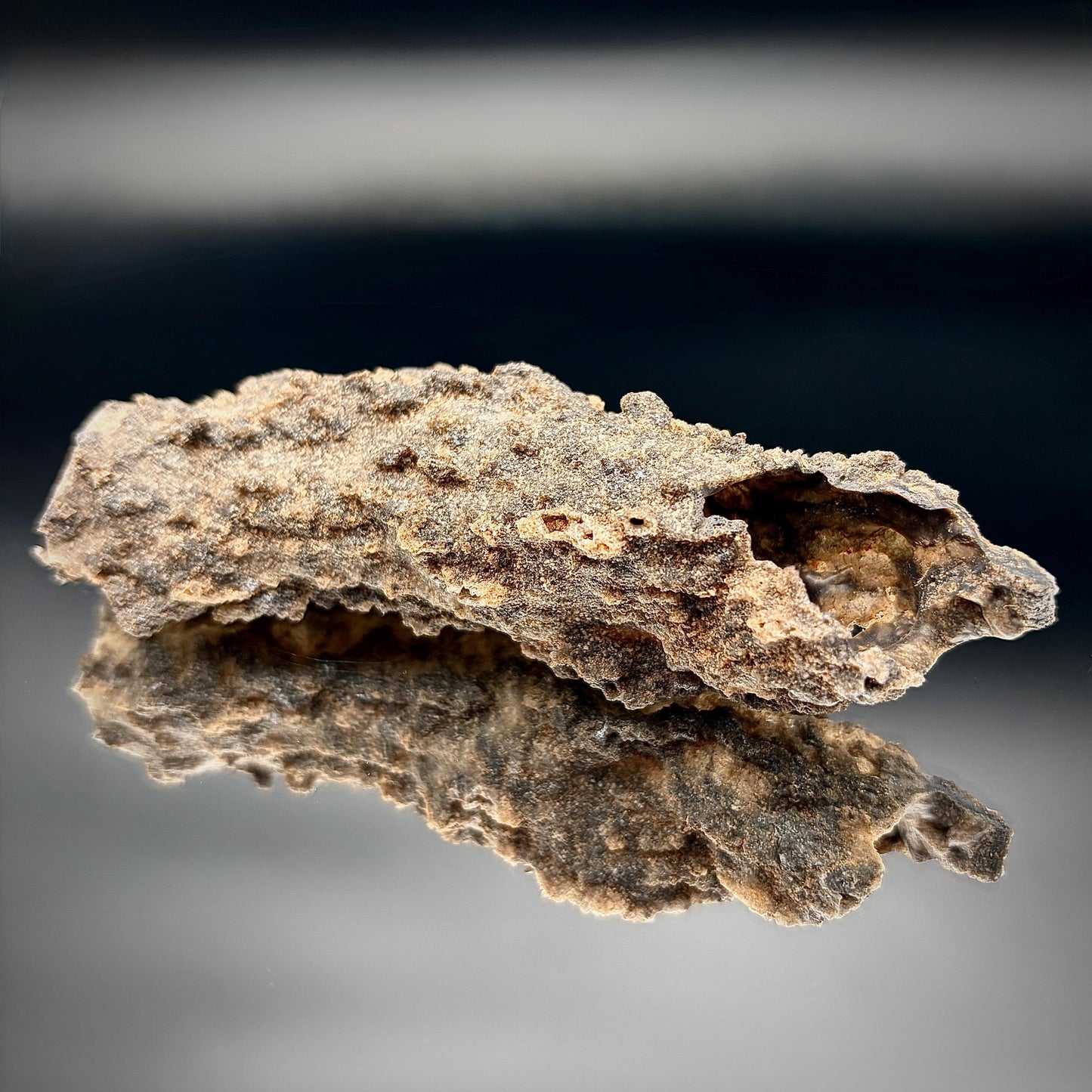 Large Fulgurite Specimen -  Petrified Lightning Stone from Libyan Desert #11