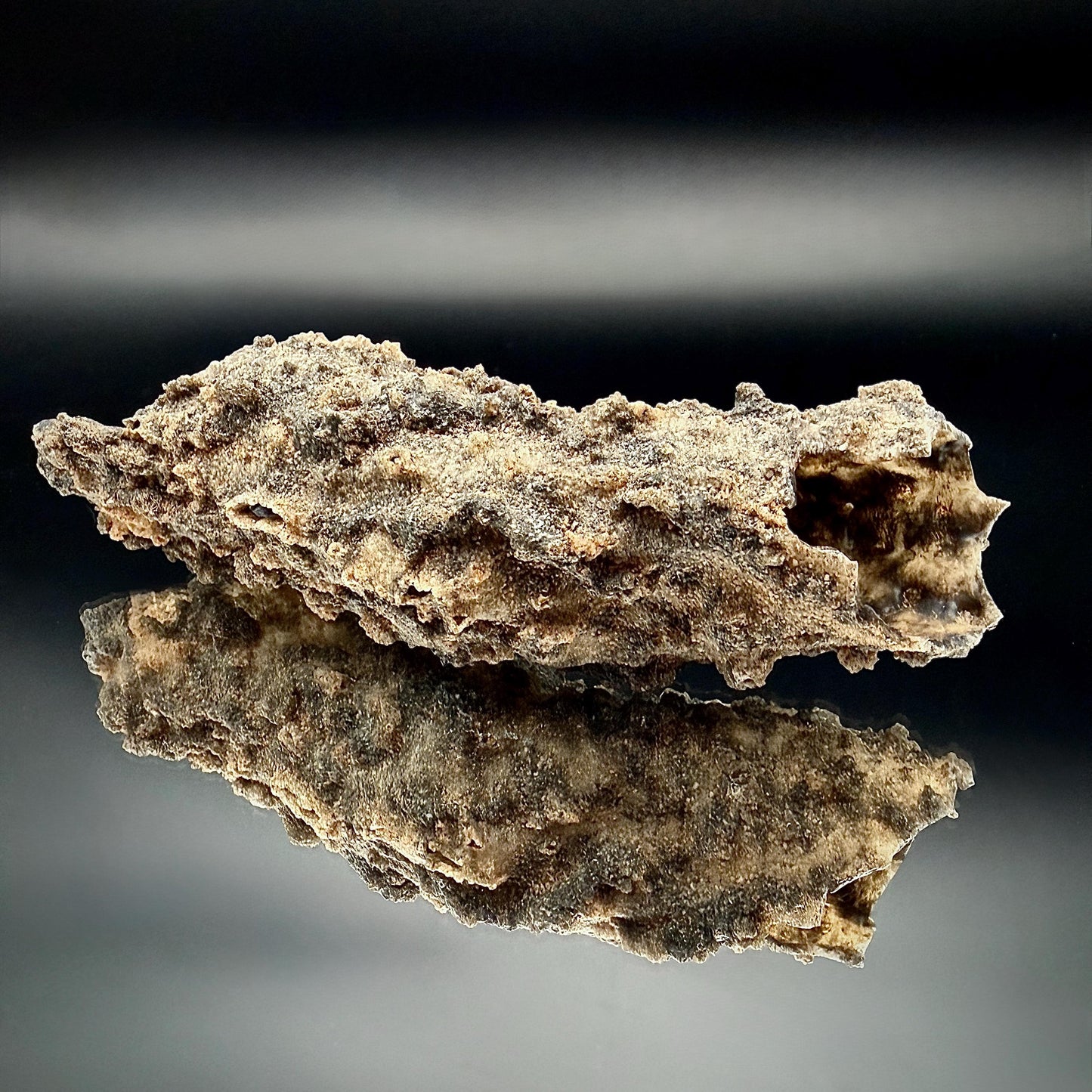 Large Fulgurite Specimen -  Petrified Lightning Stone from Libyan Desert #11