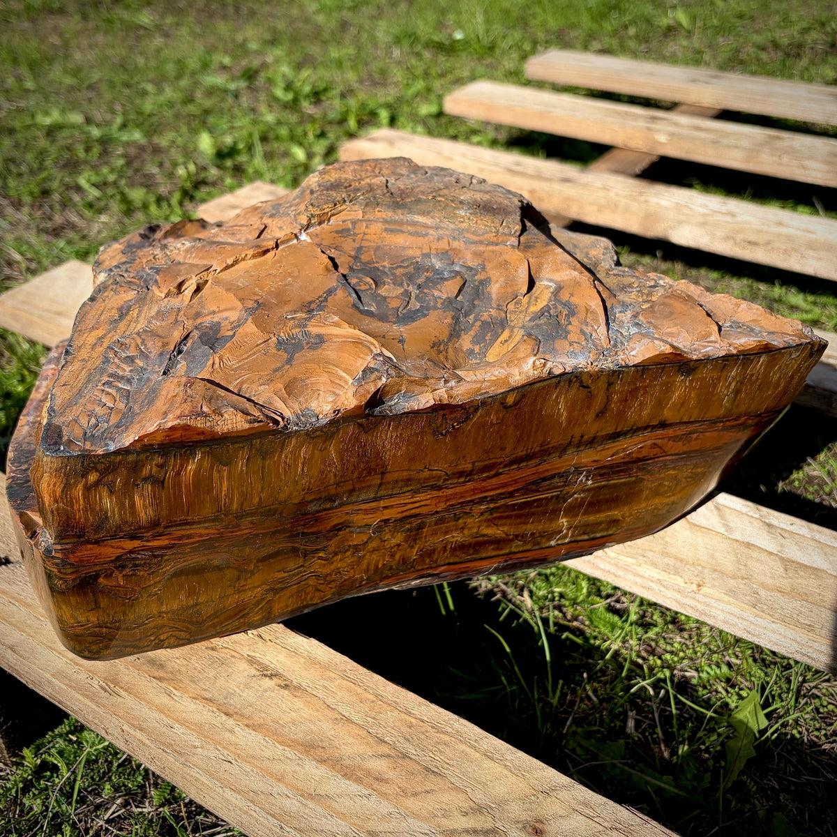 XL Tigers Eye Crystal | 16.9kg Part Polished