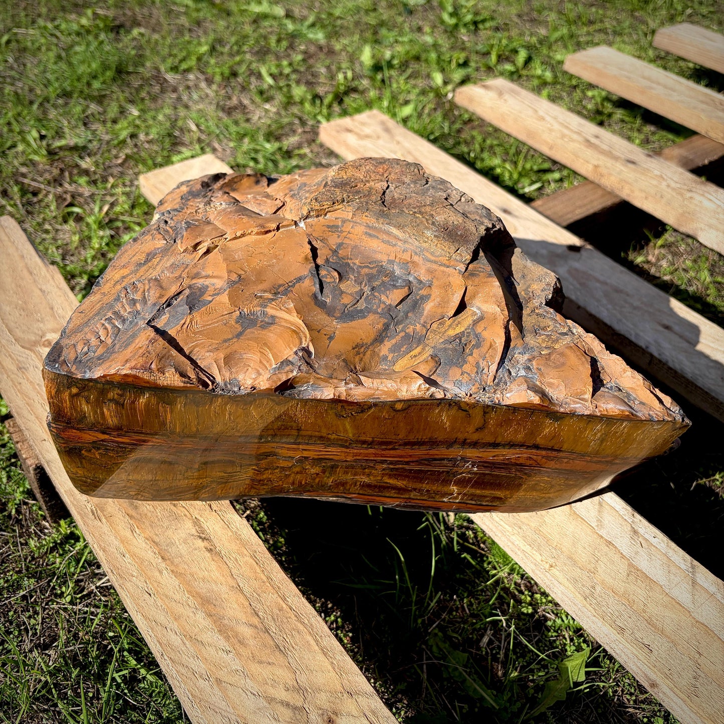 XL Tigers Eye Crystal | 16.9kg Part Polished