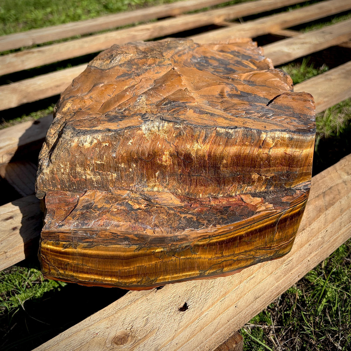 XL Tigers Eye Crystal | 16.9kg Part Polished