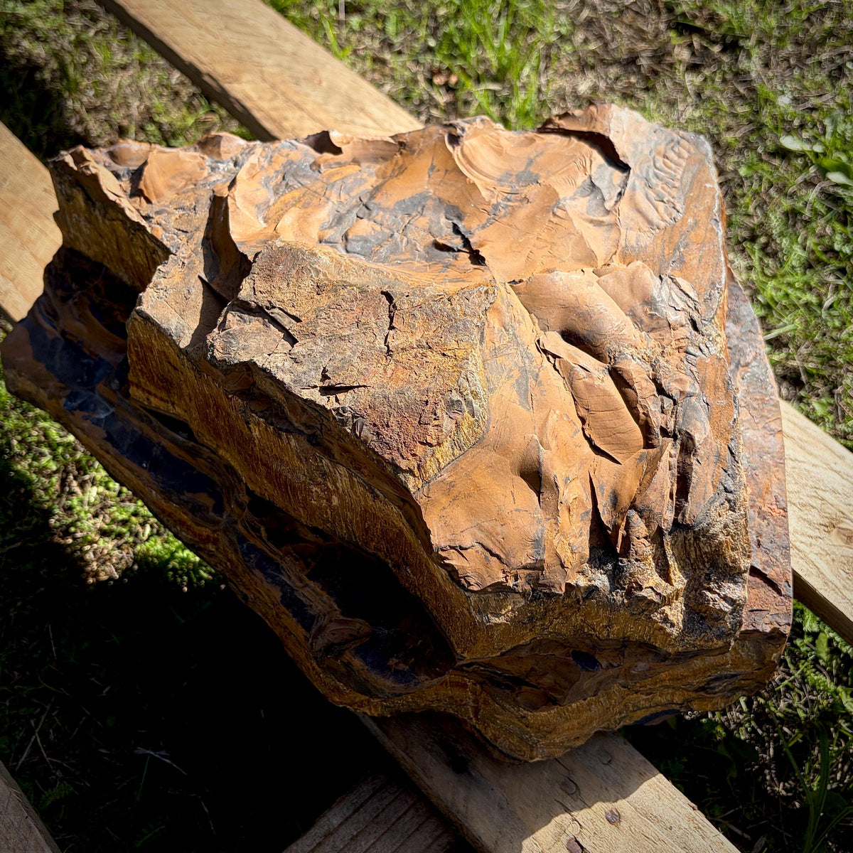 XL Tigers Eye Crystal | 16.9kg Part Polished