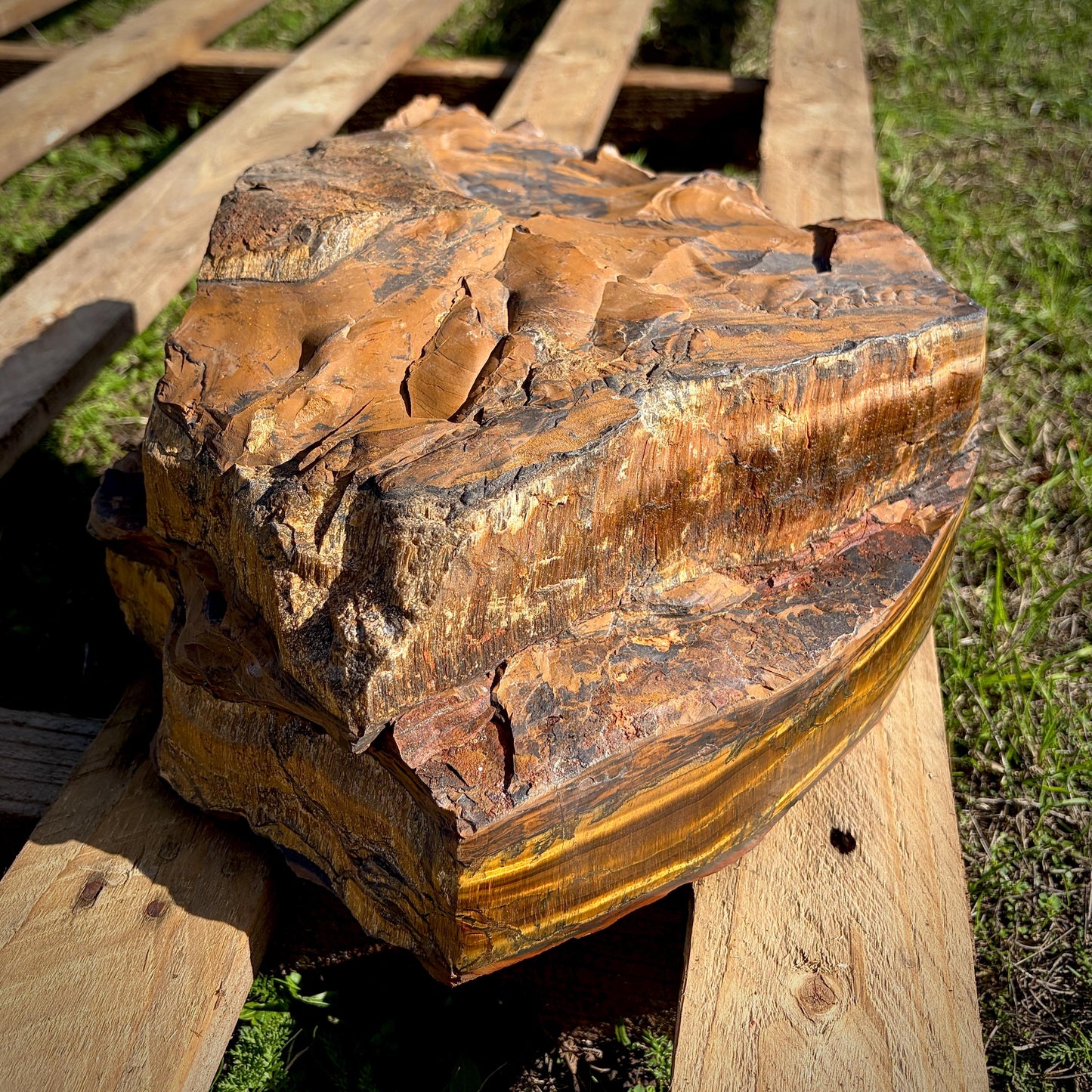 XL Tigers Eye Crystal | 16.9kg Part Polished
