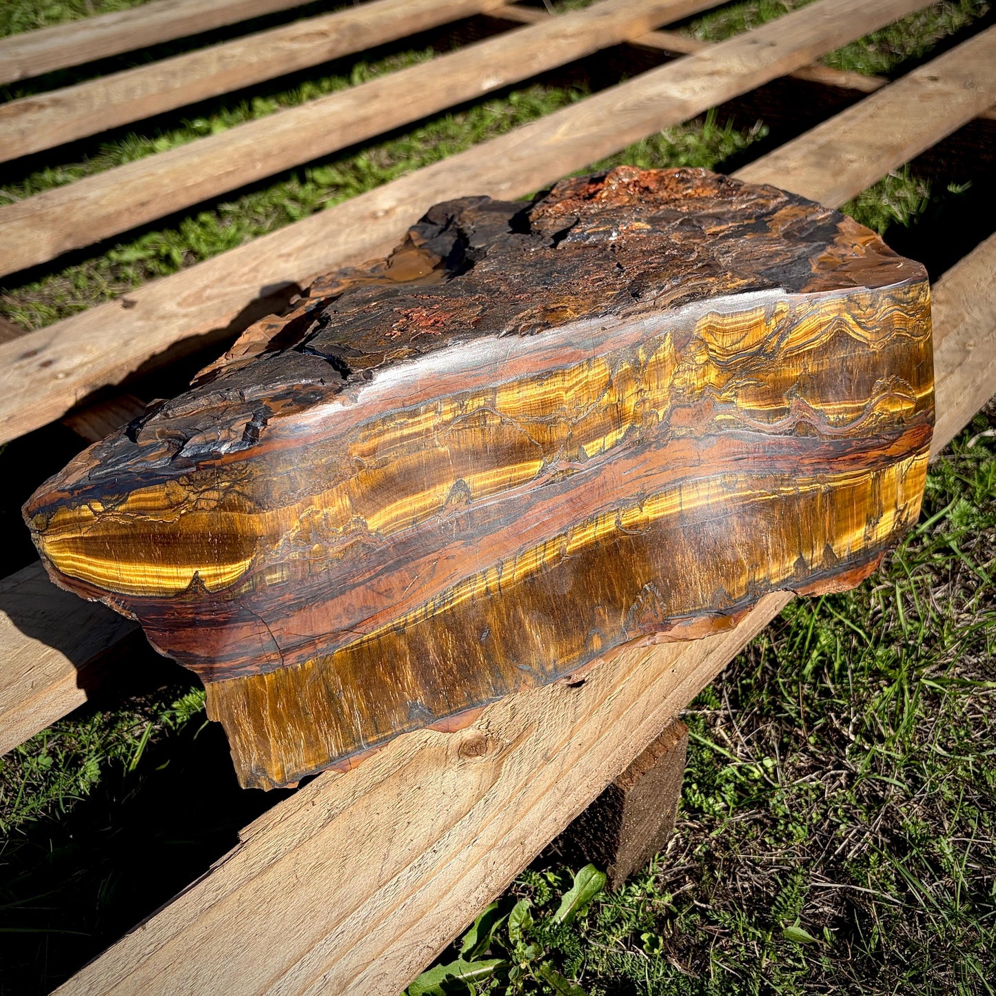 XL Tigers Eye Crystal | 16.9kg Part Polished